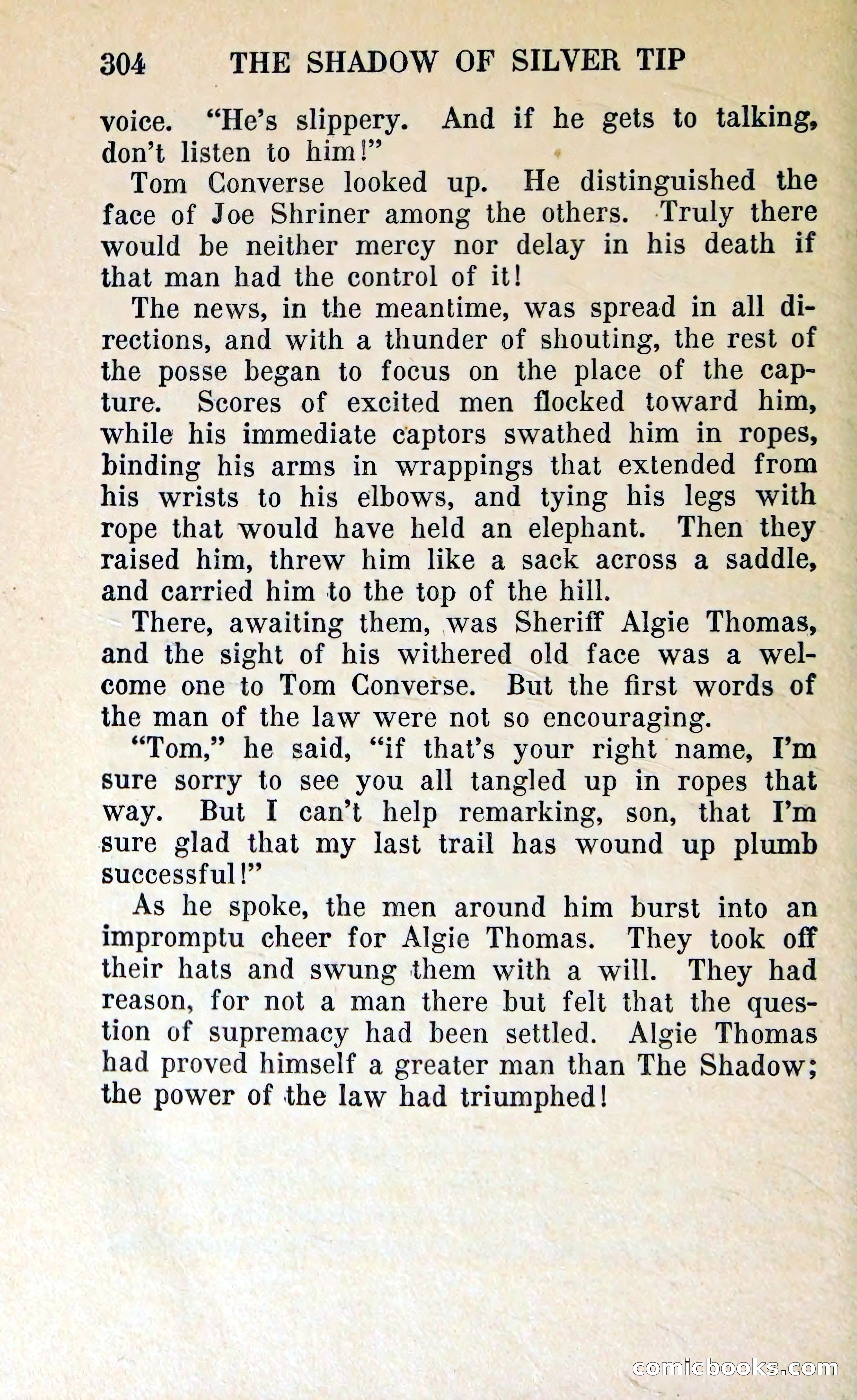 The Shadow of Silver Tip — page 307 of 329