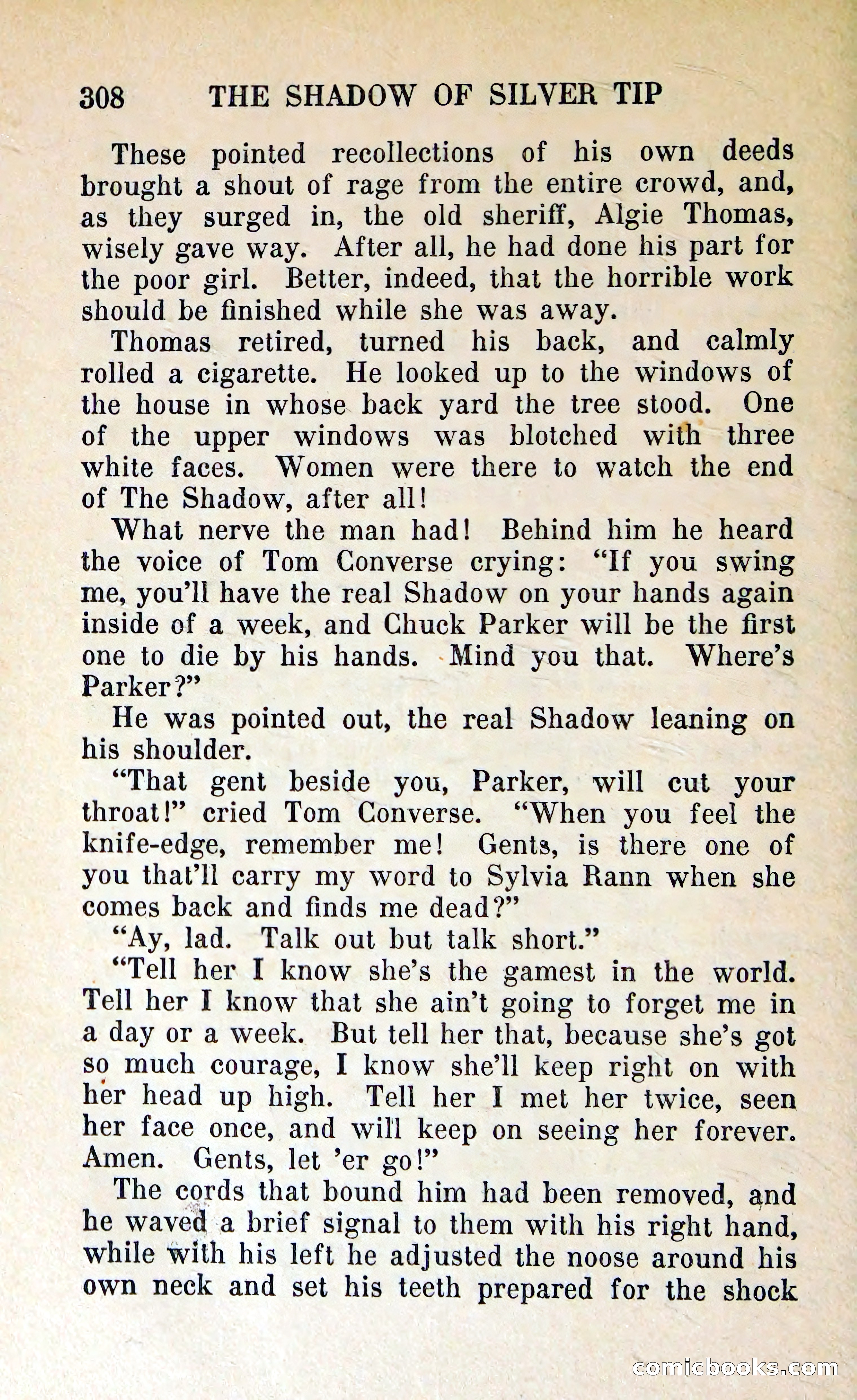 The Shadow of Silver Tip — page 311 of 329