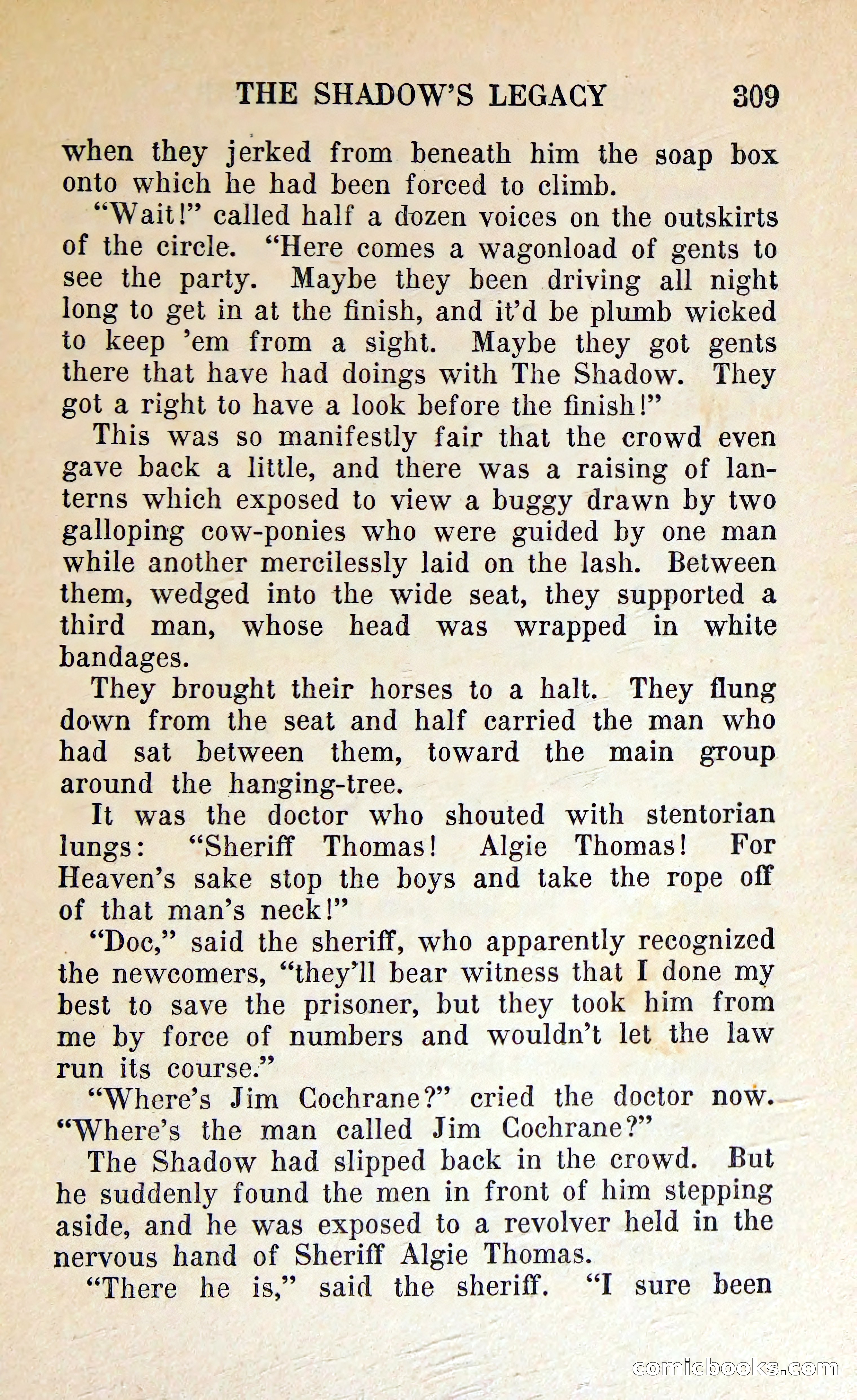 The Shadow of Silver Tip — page 312 of 329