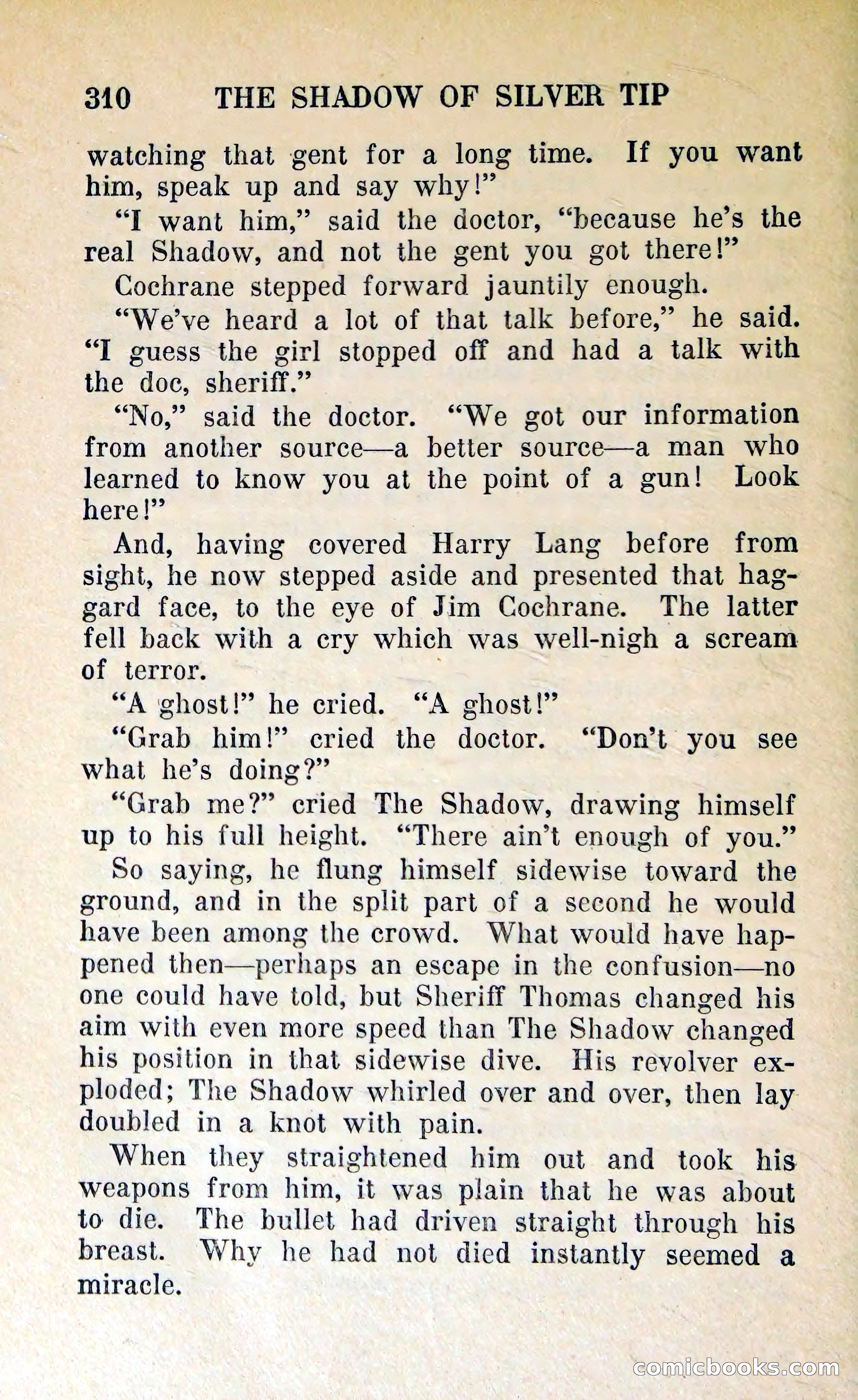 The Shadow of Silver Tip — page 313 of 329
