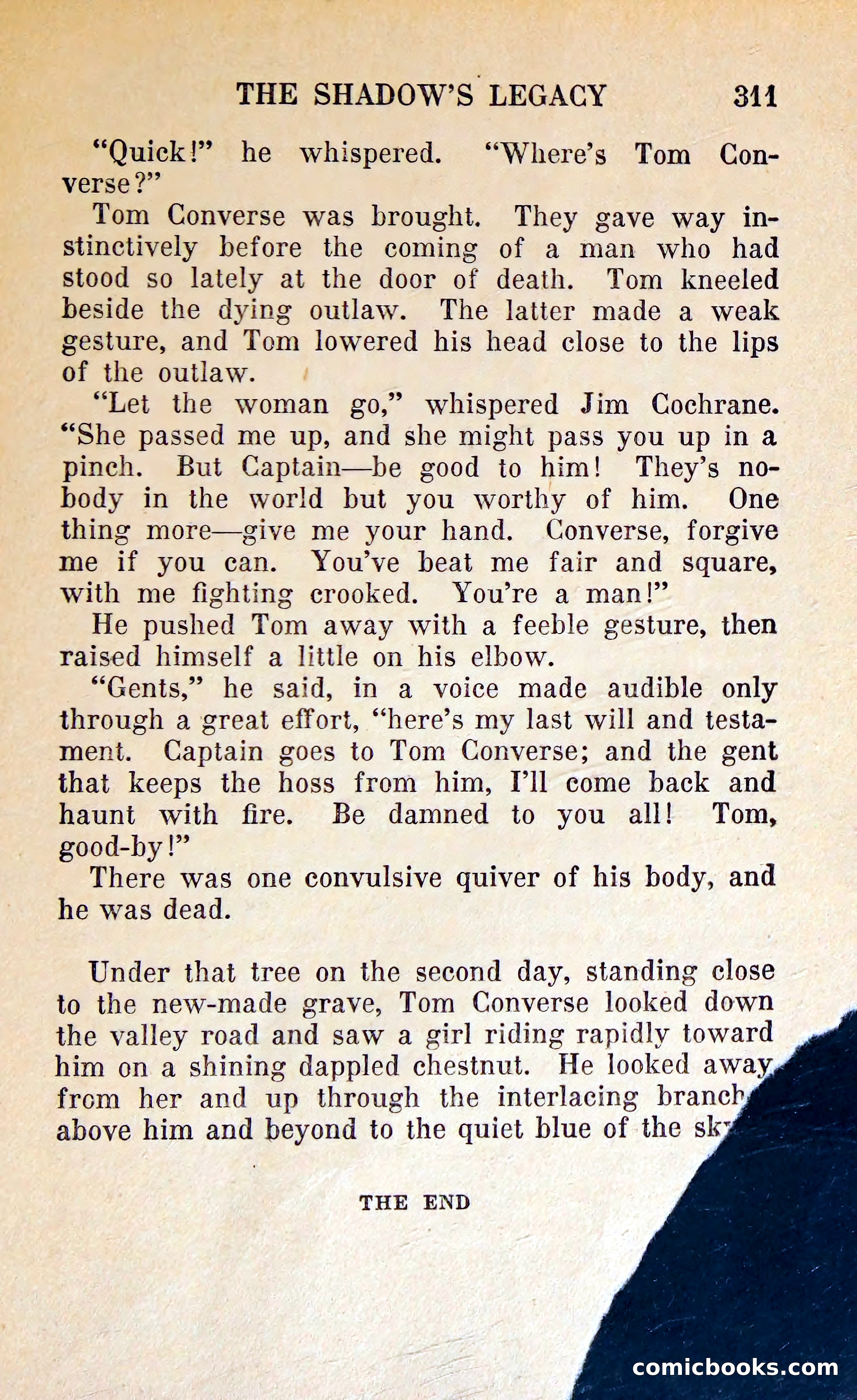 The Shadow of Silver Tip — page 314 of 329