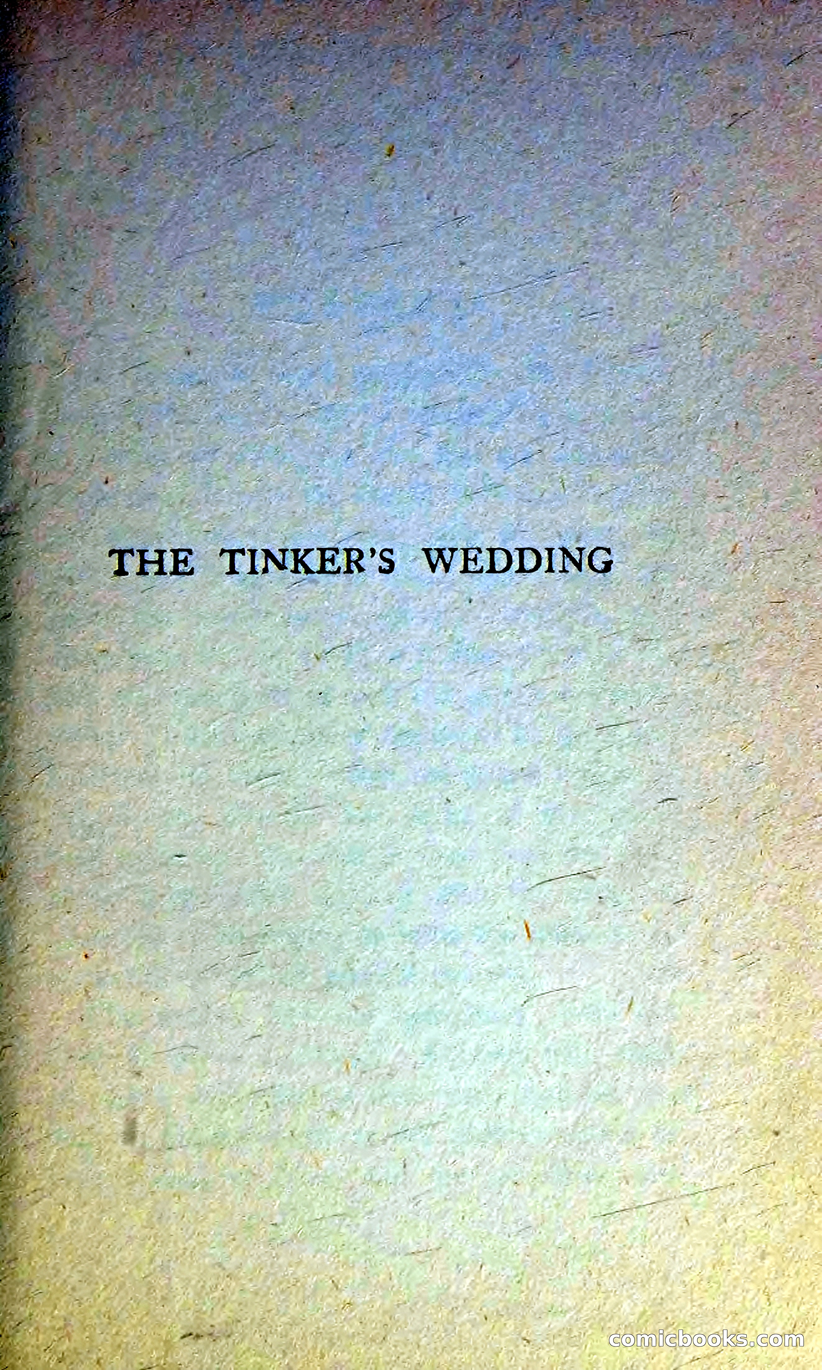 The Tinker's Wedding / Riders to the Sea / The Shadow of the Glen — page 12 of 148