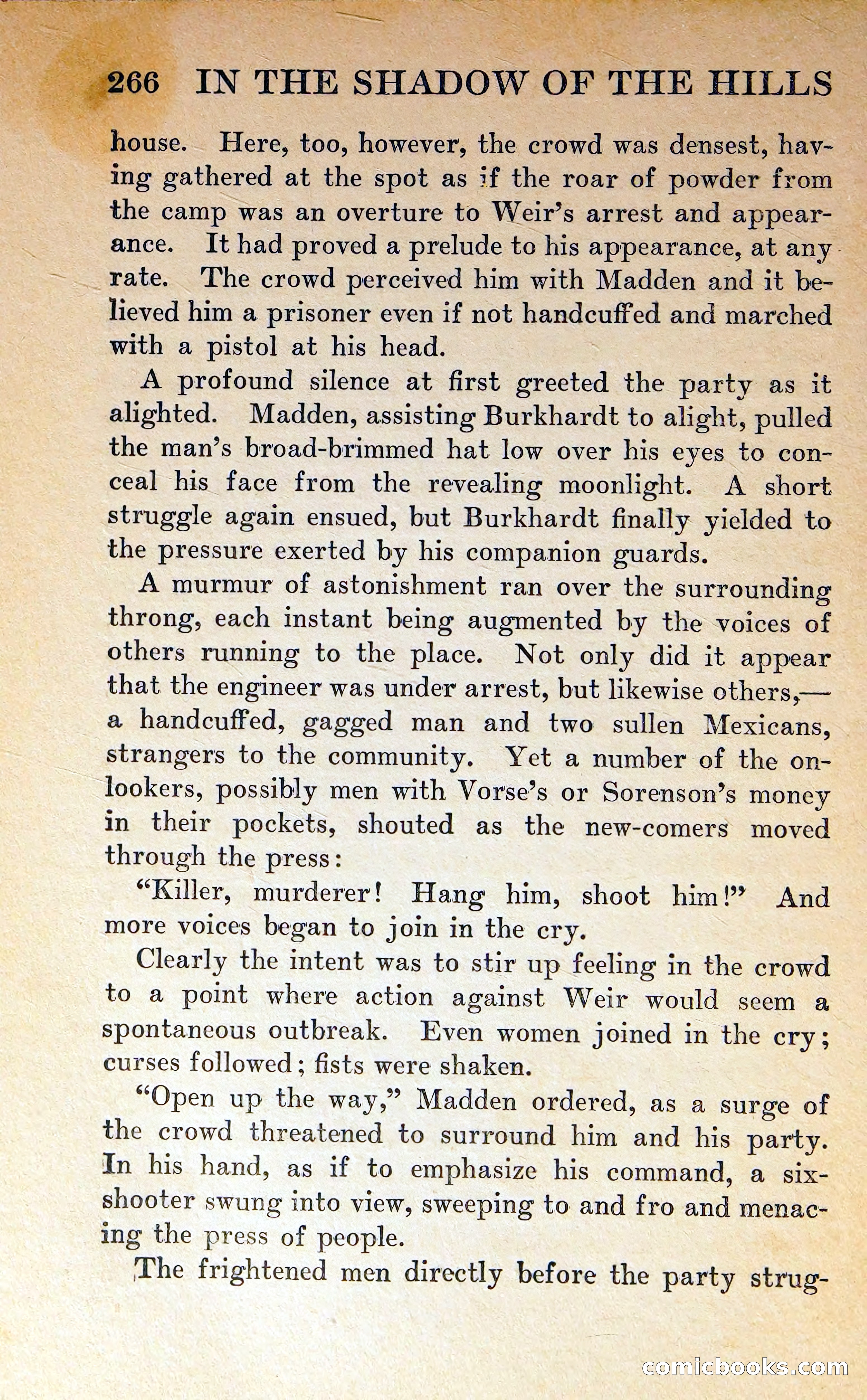In the Shadow of the Hills — page 265 of 325