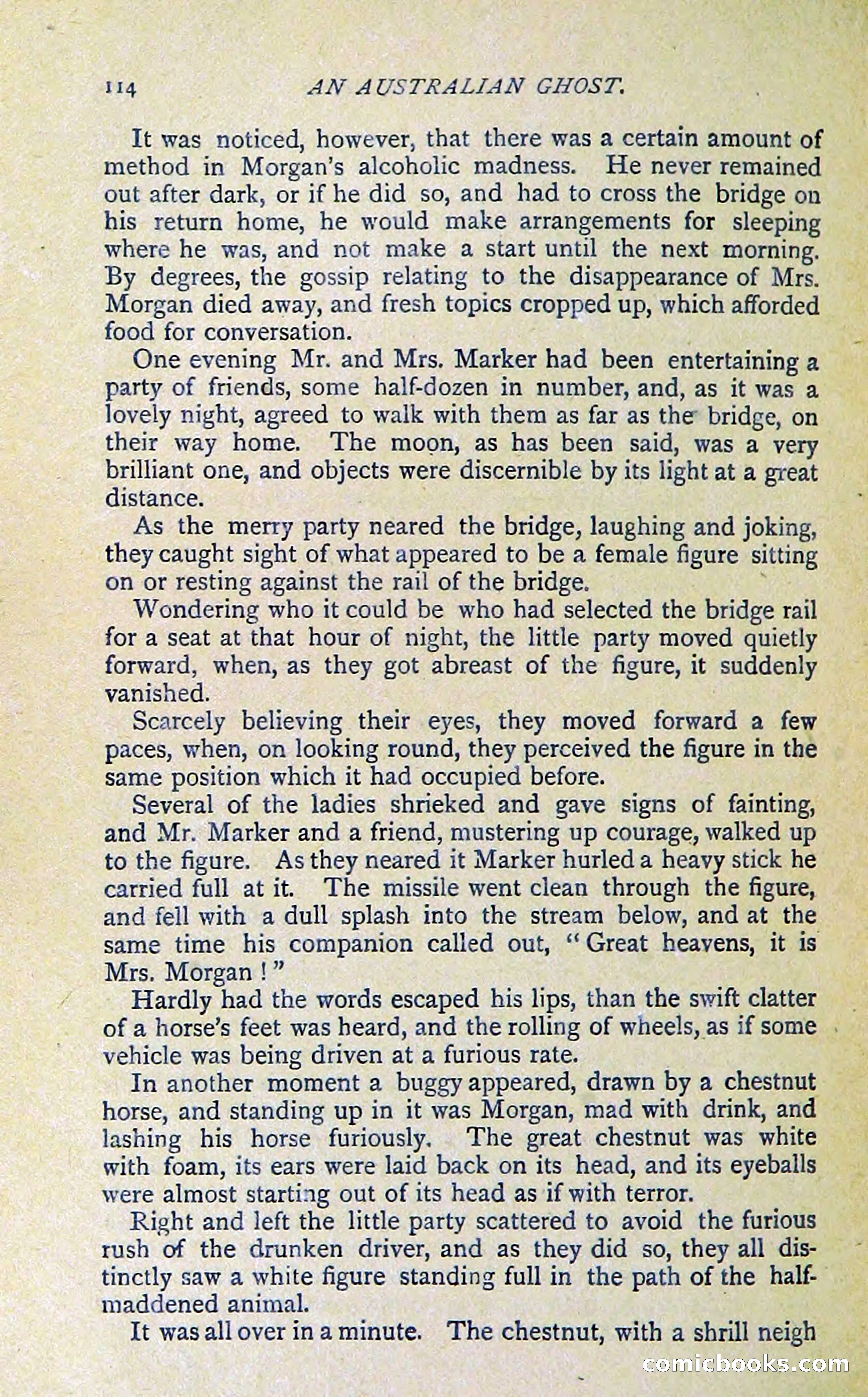 New Detective Stories by Sir Gilbert Campbell — page 116 of 132