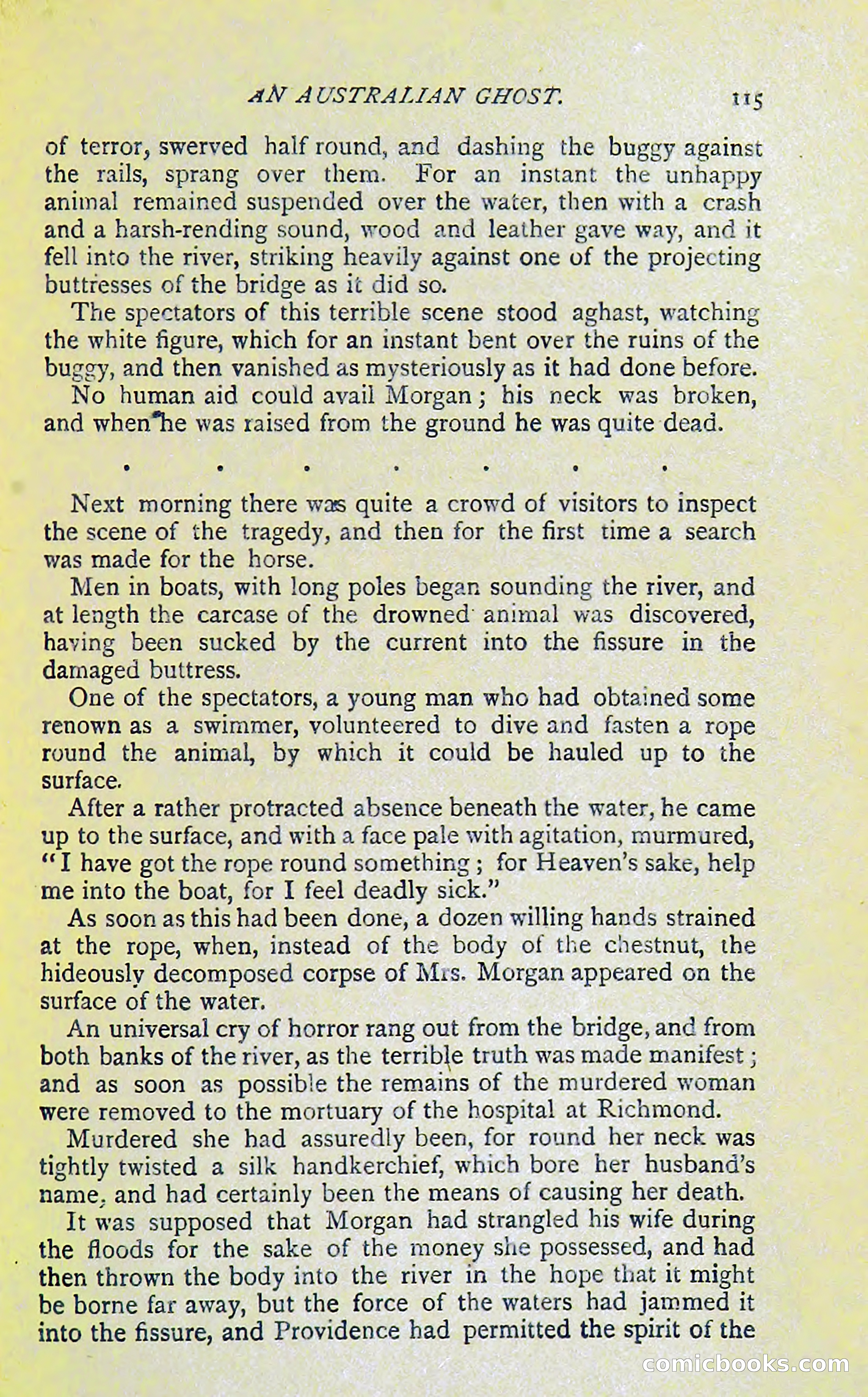 New Detective Stories by Sir Gilbert Campbell — page 117 of 132