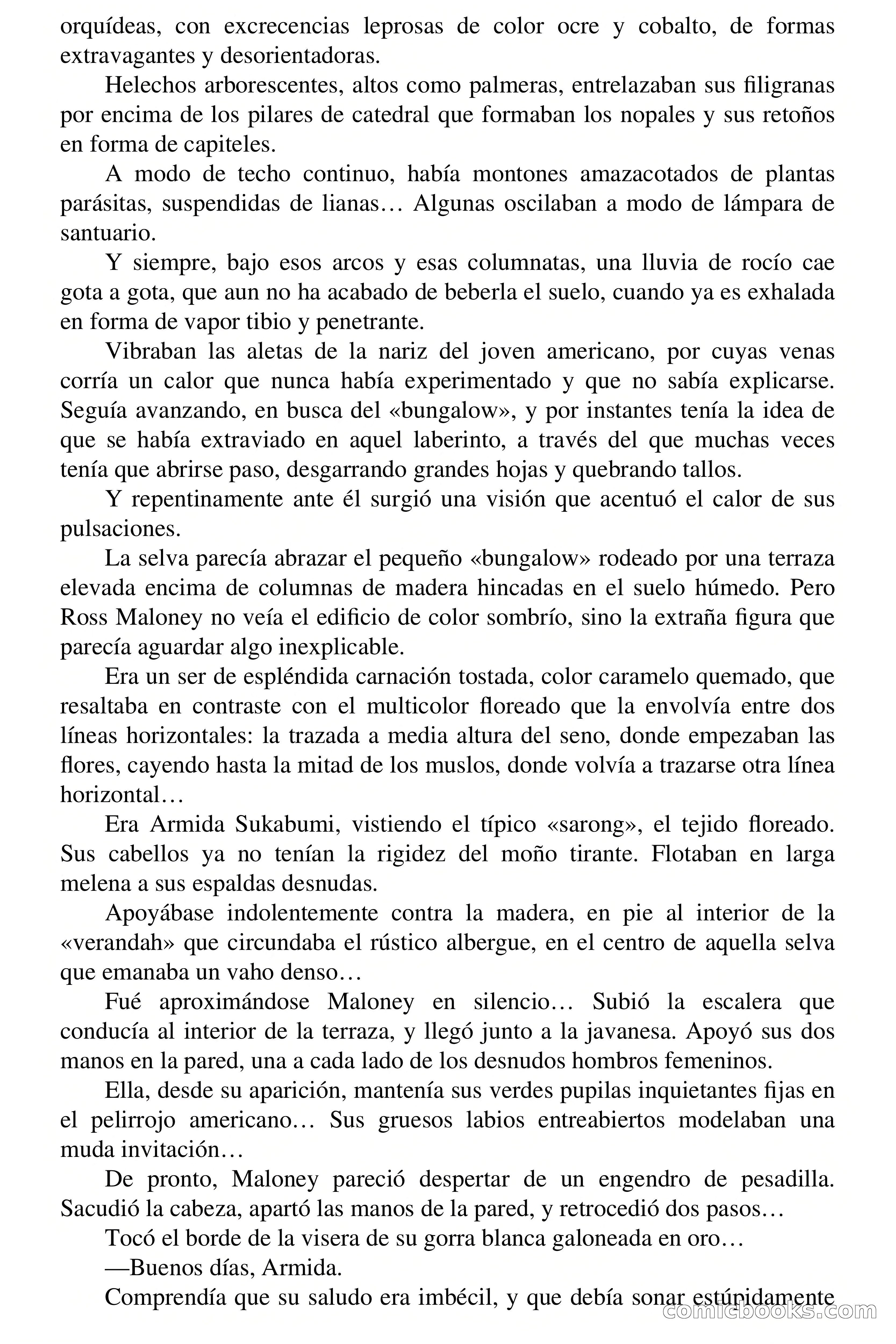 Capitán Pantera: Las siete perlas — page 35 of 73