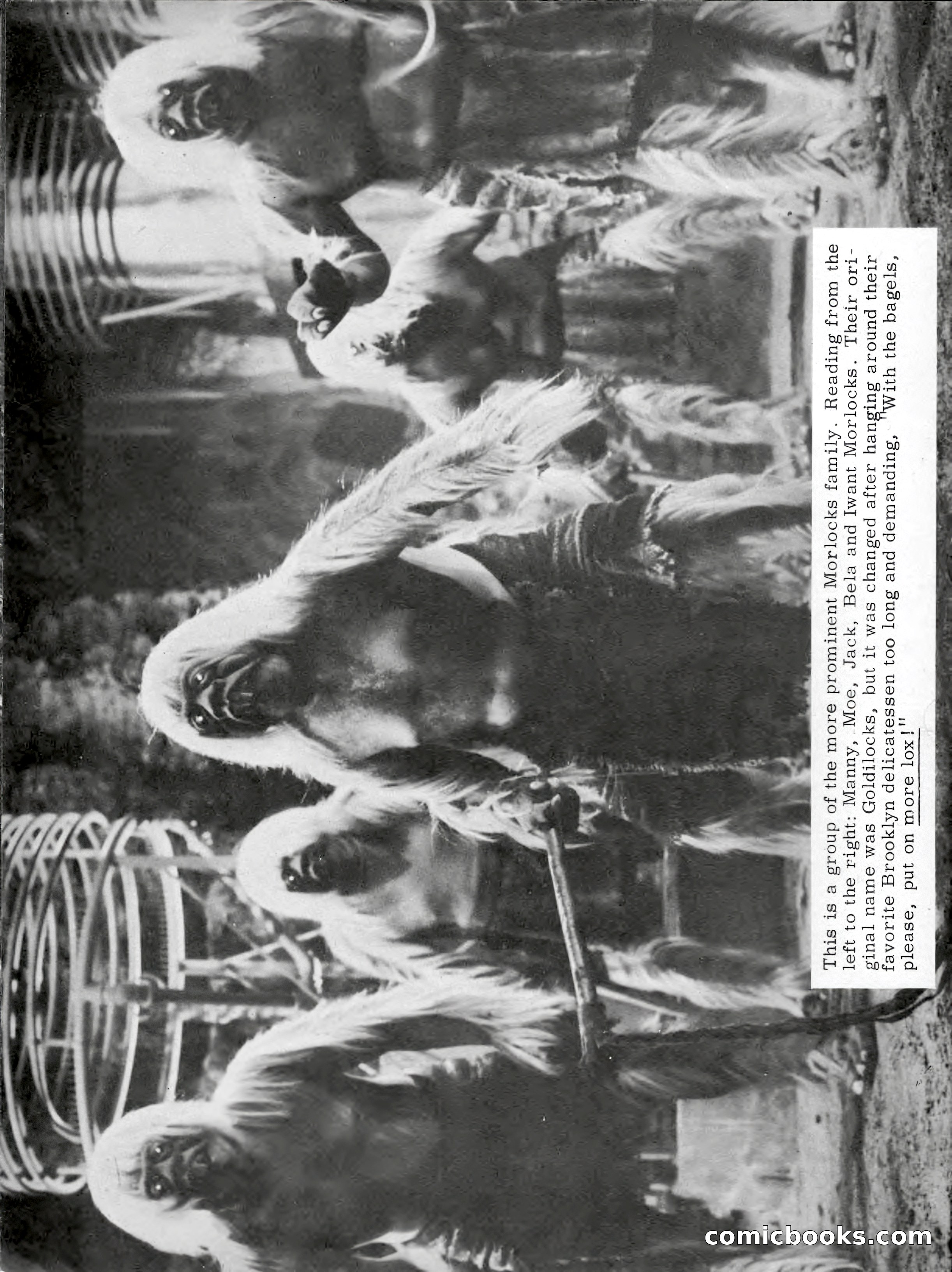 Castle of Frankenstein, First Issue — page 16 of 68
