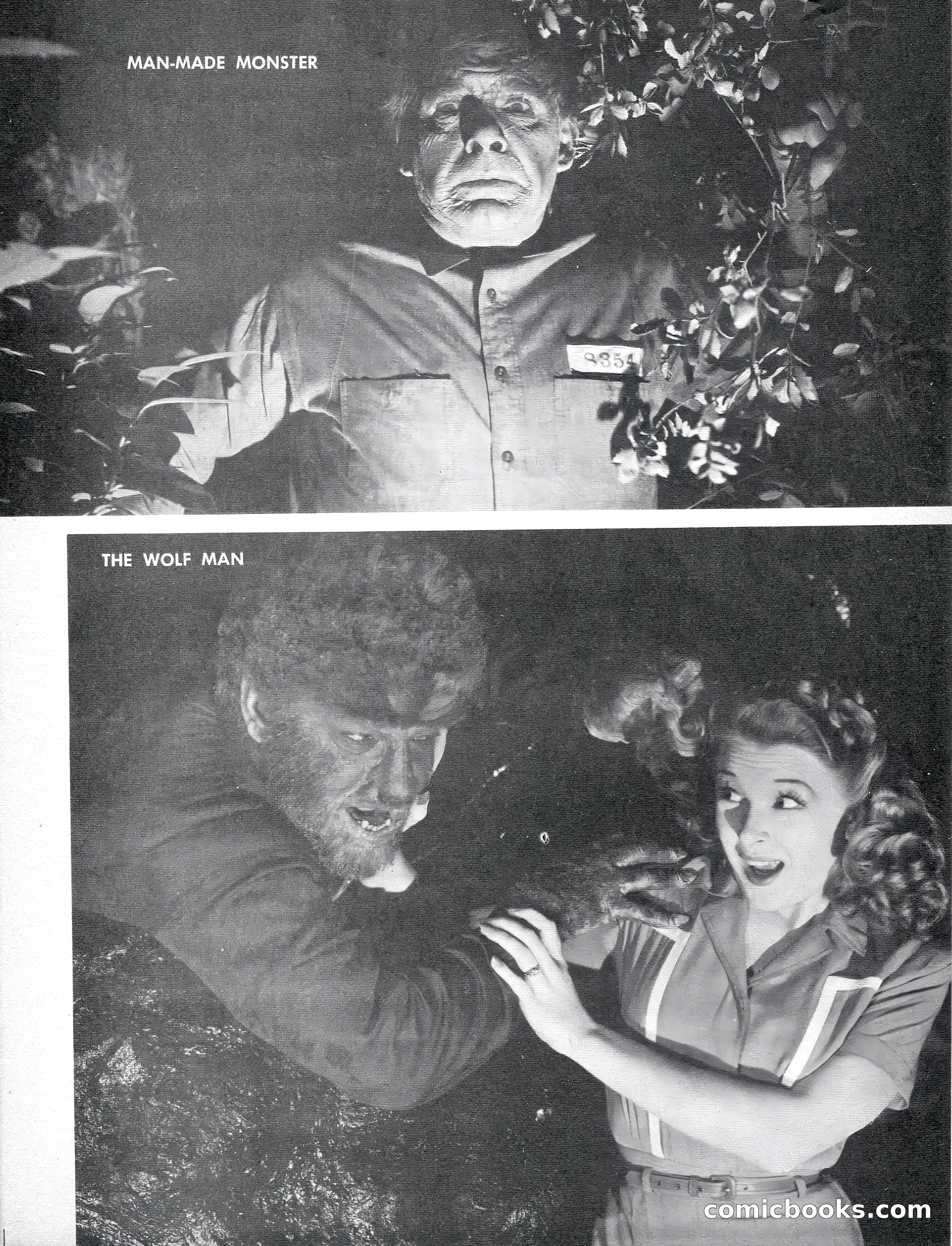 Castle of Frankenstein No. 6 — page 21 of 68