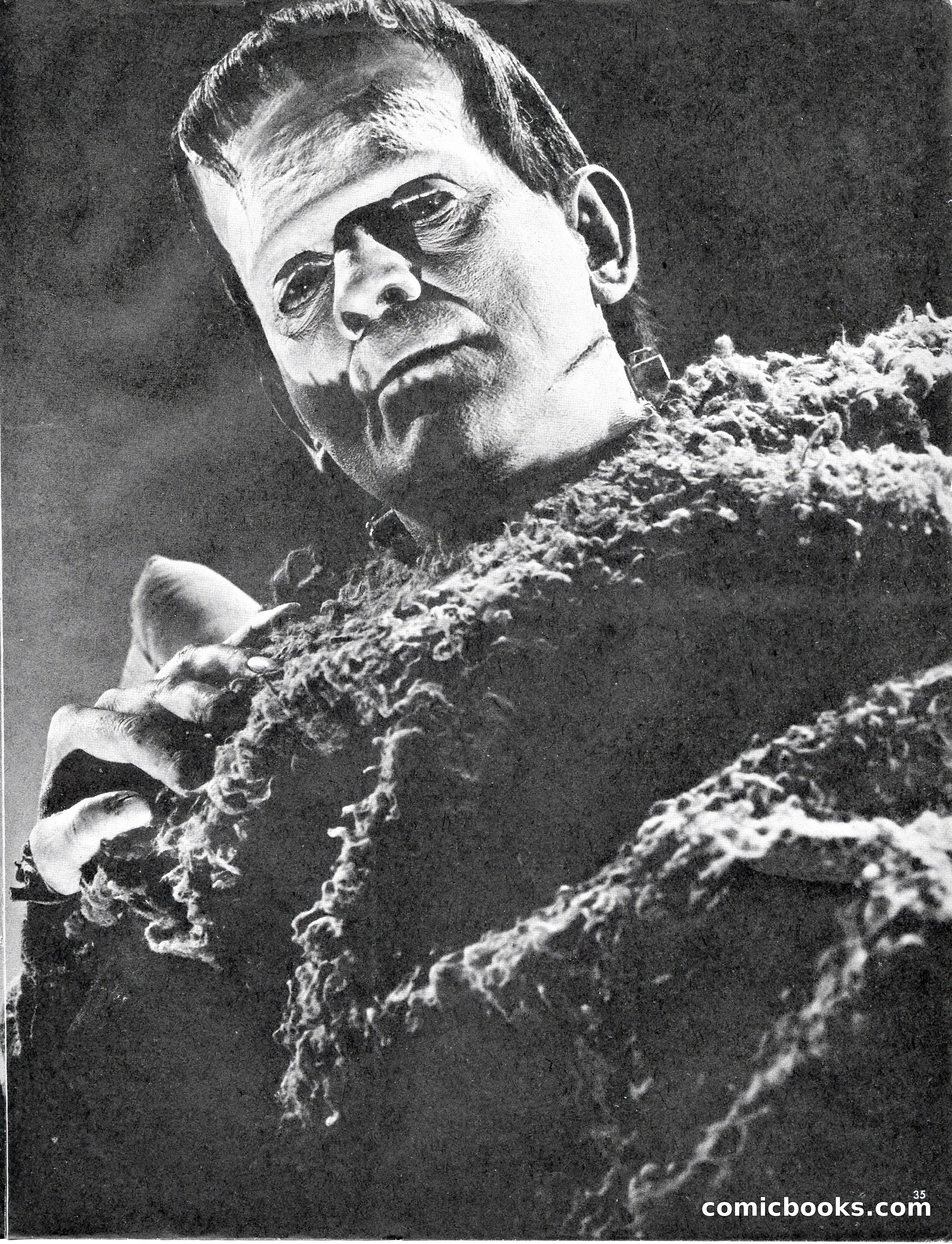 Castle of Frankenstein, No. 8 — page 35 of 68