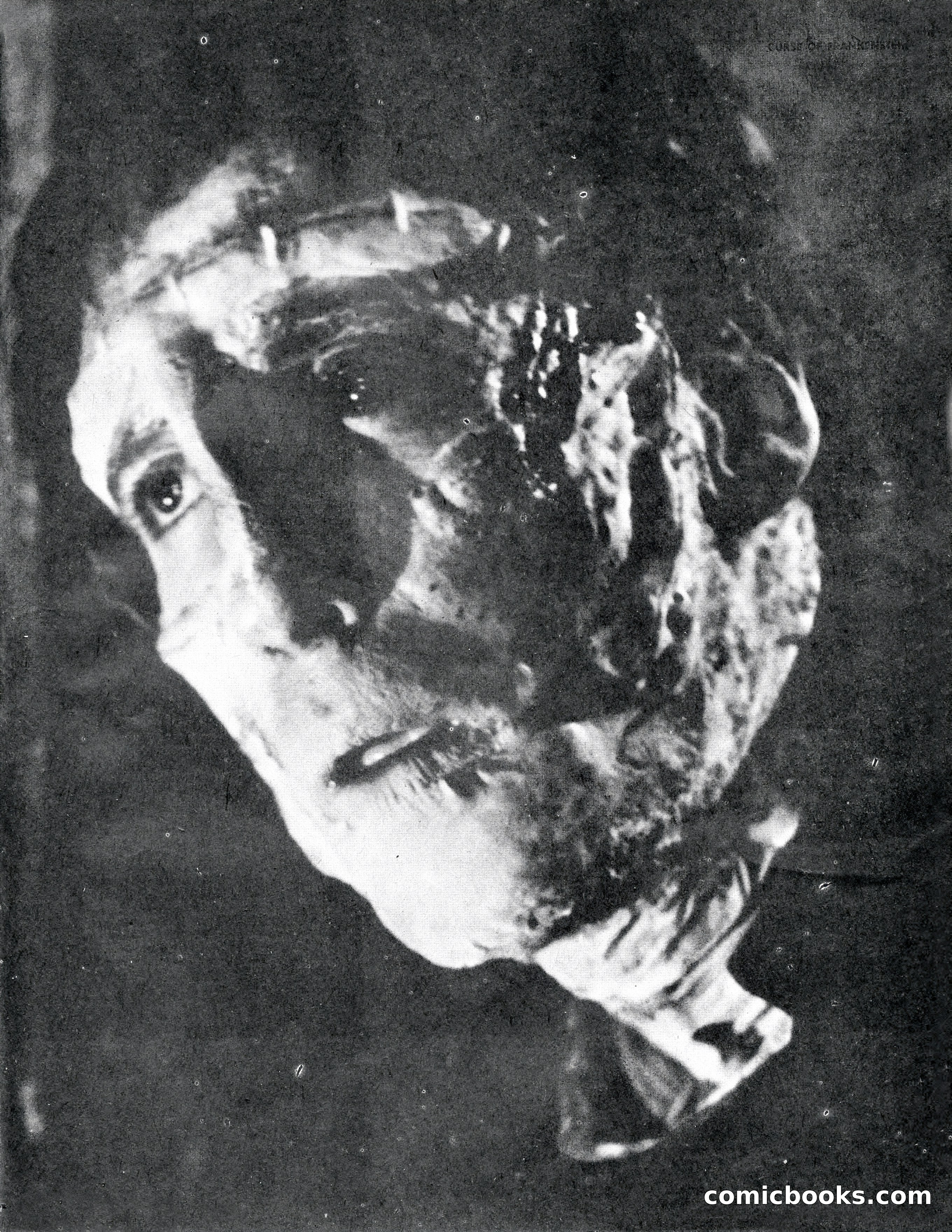 Castle of Frankenstein, No. 8 — page 37 of 68