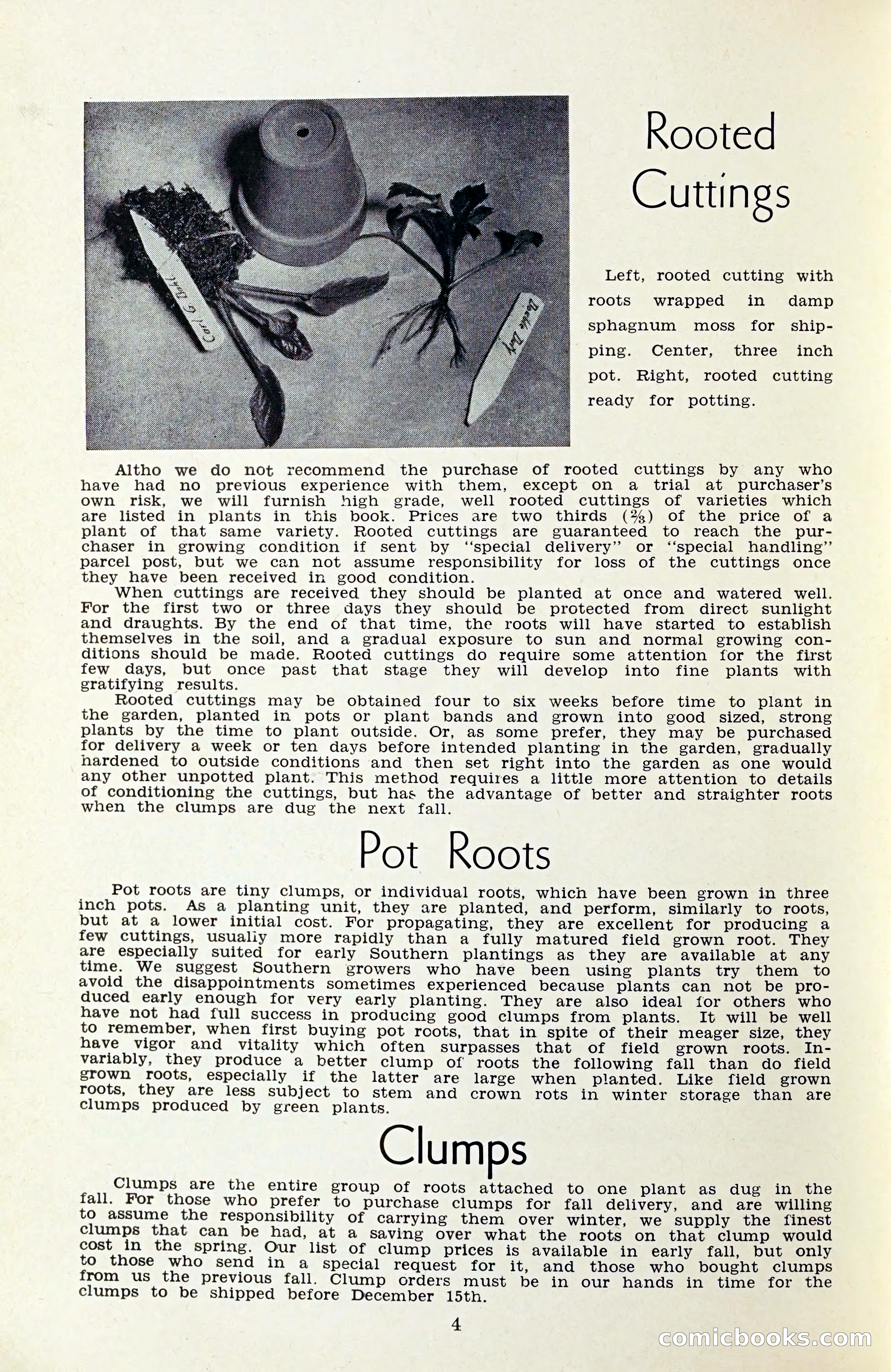 The Dahlia Blue Book for 1959 — page 7 of 69