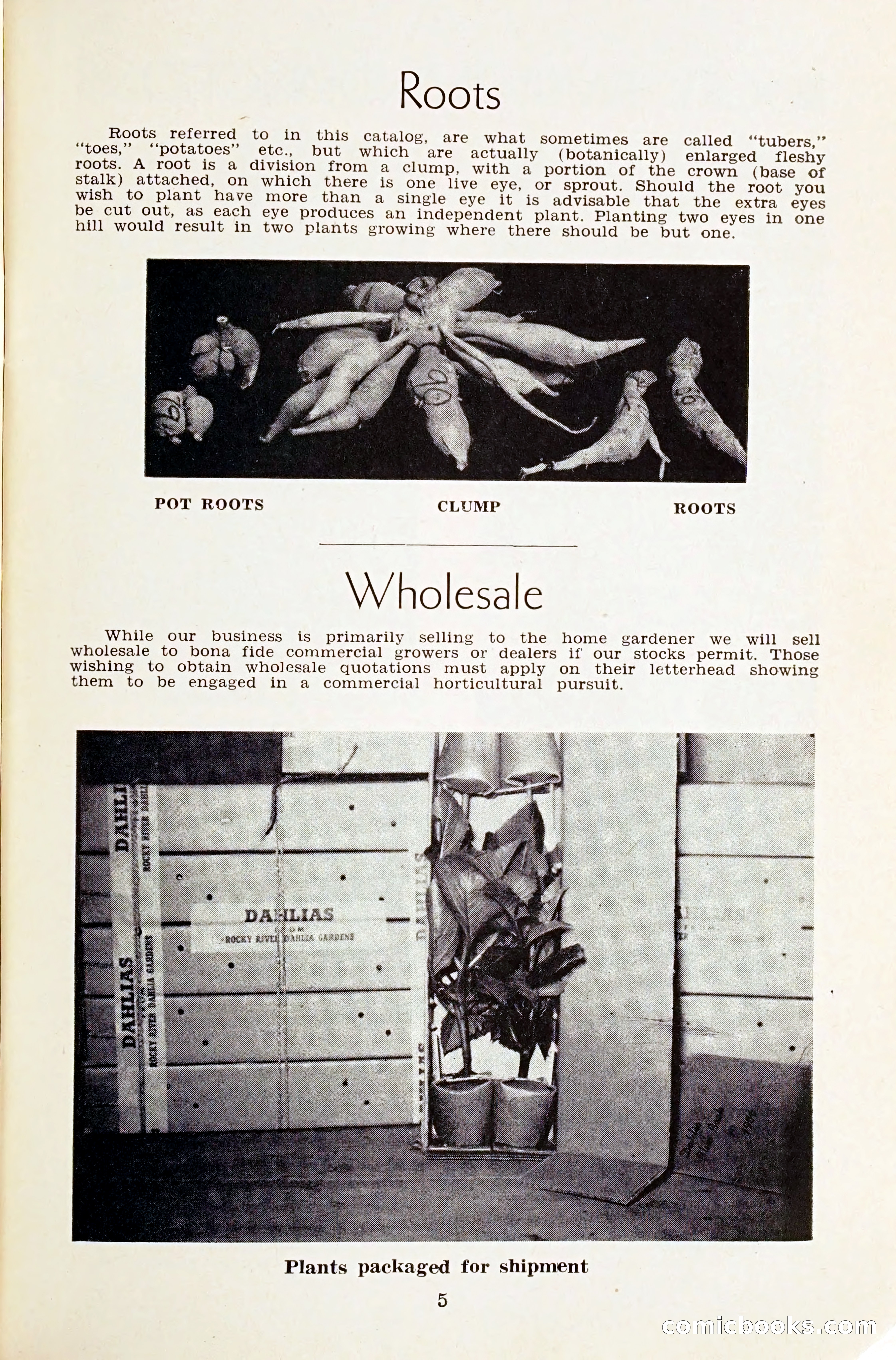 The Dahlia Blue Book for 1959 — page 8 of 69