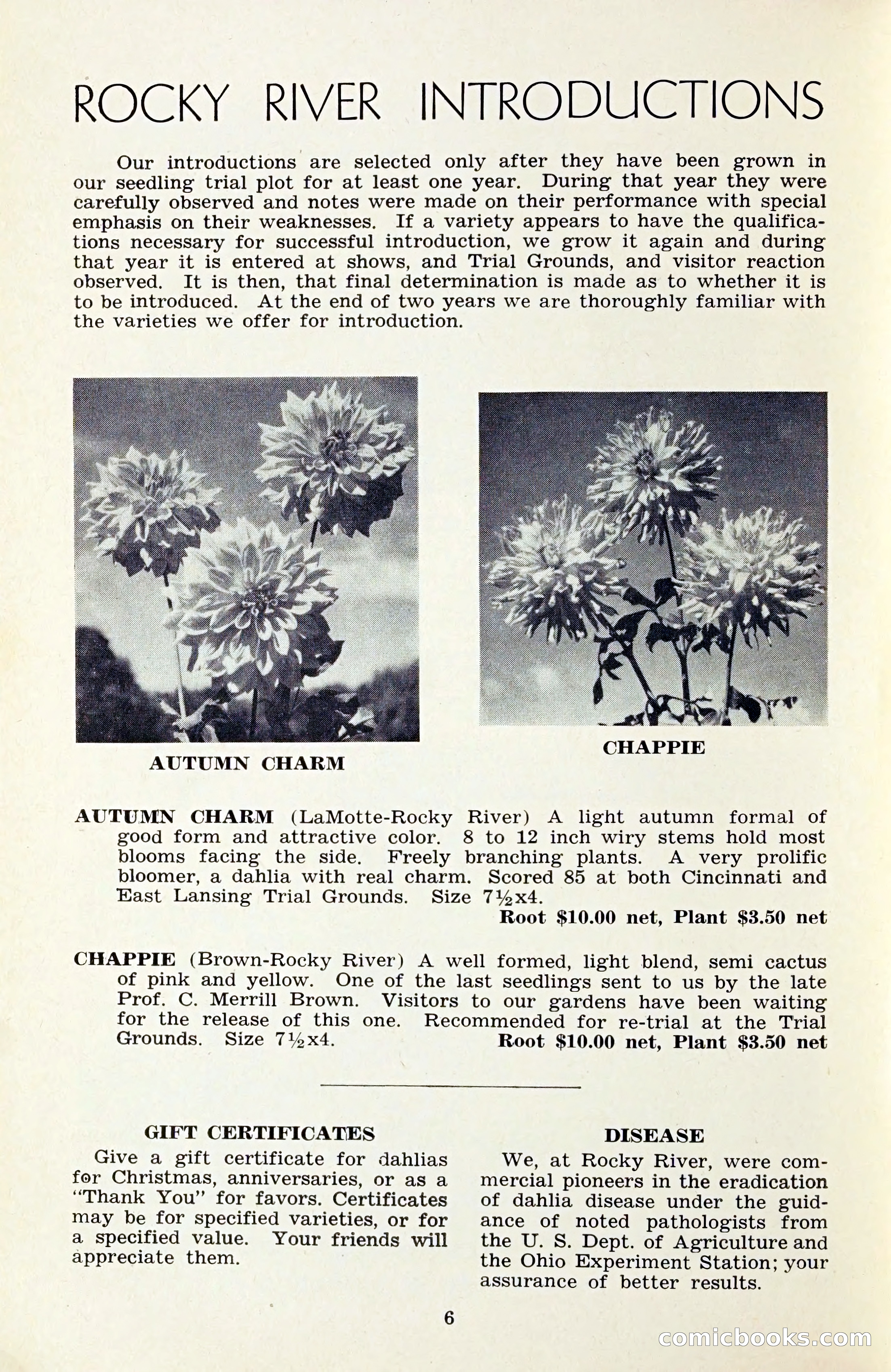 The Dahlia Blue Book for 1959 — page 9 of 69