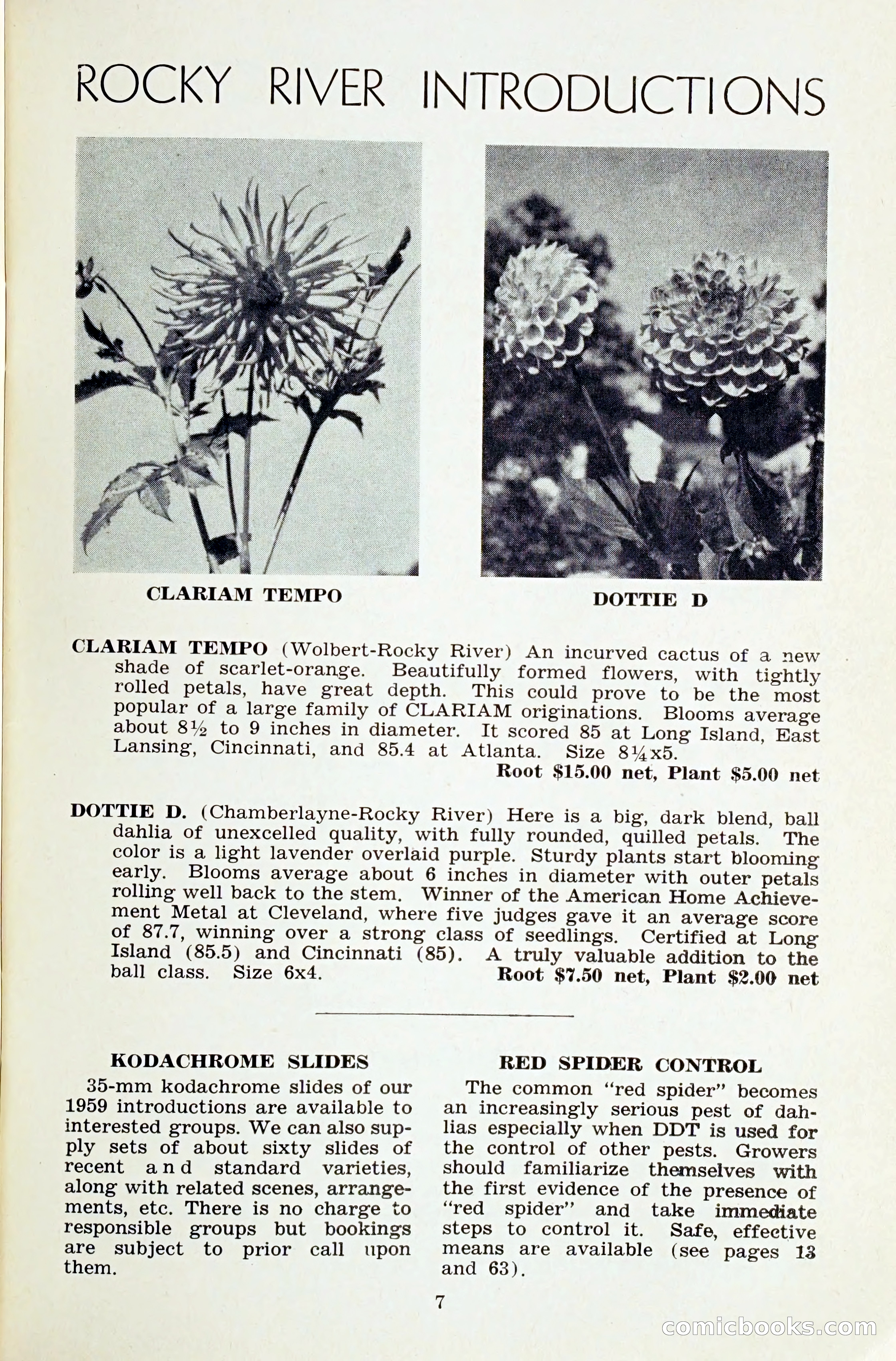 The Dahlia Blue Book for 1959 — page 10 of 69