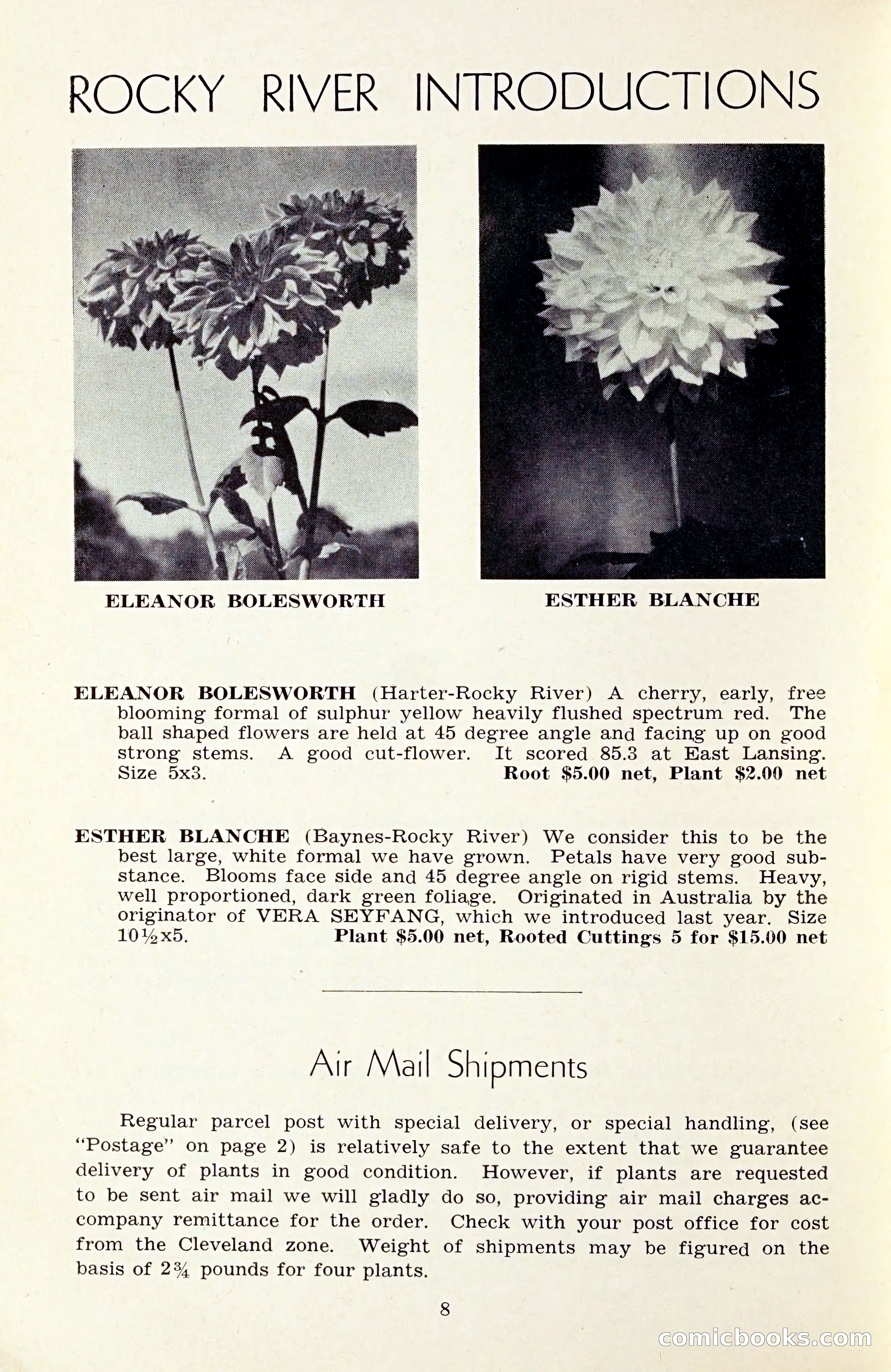 The Dahlia Blue Book for 1959 — page 11 of 69