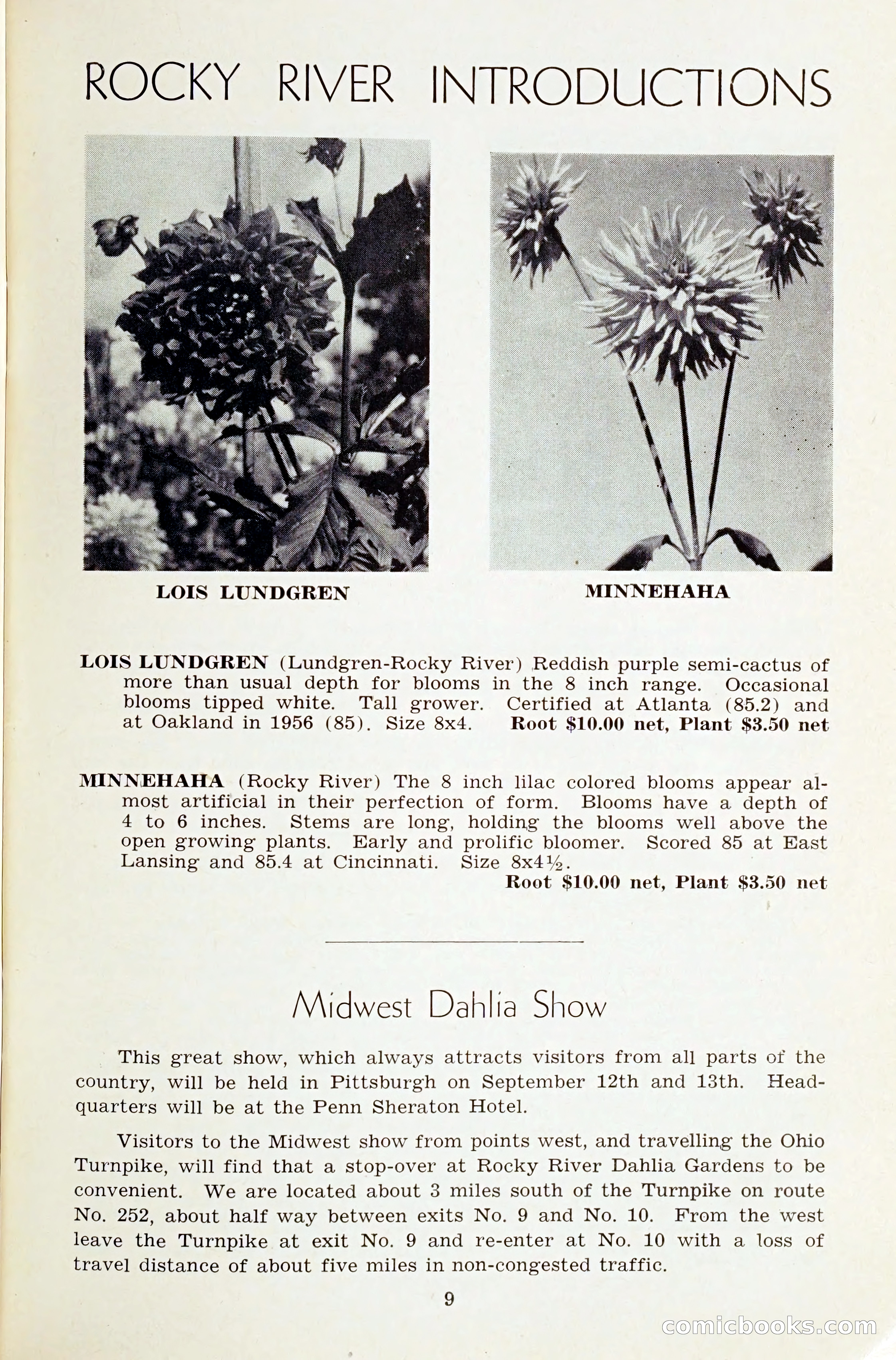The Dahlia Blue Book for 1959 — page 12 of 69