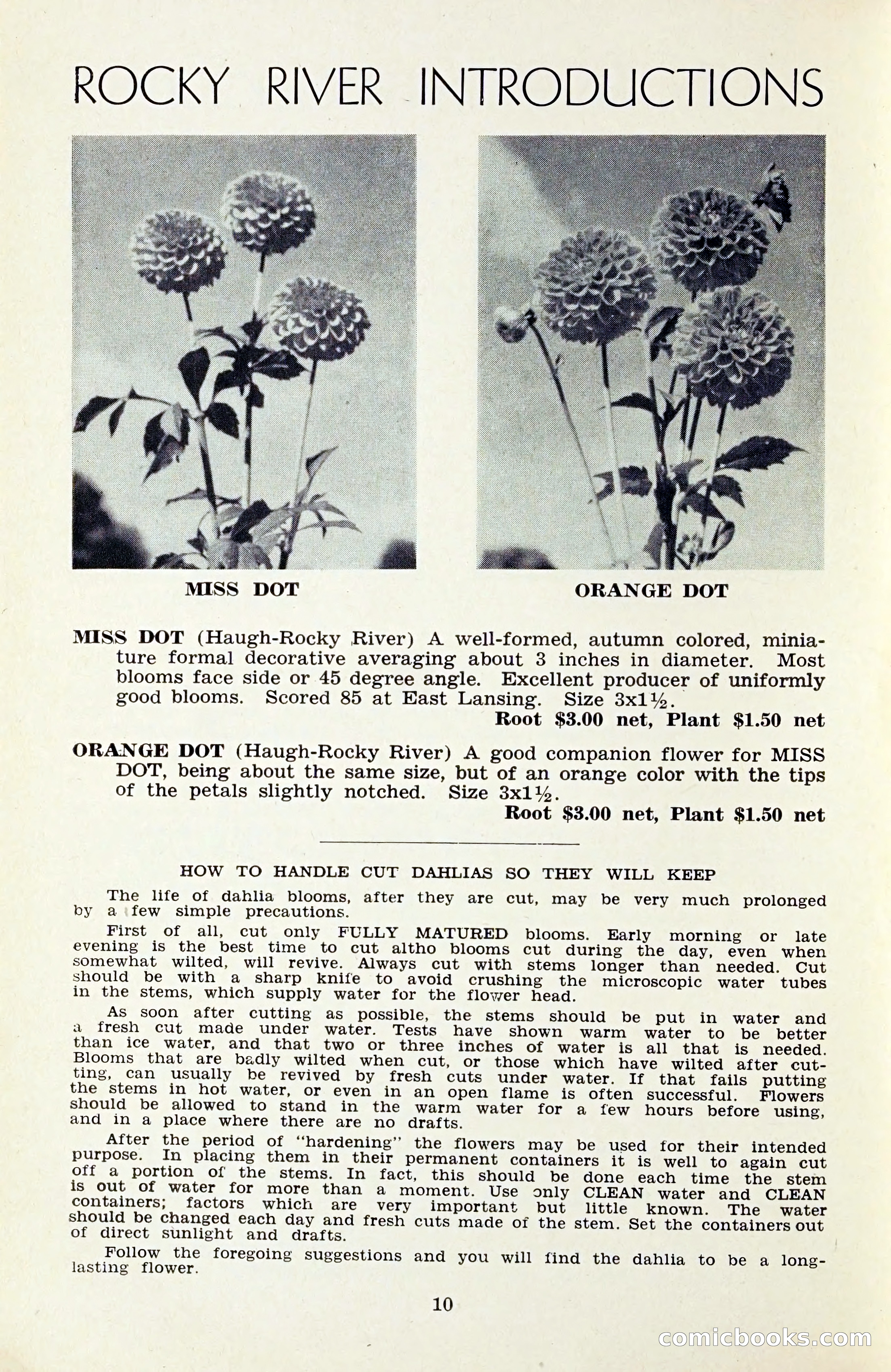 The Dahlia Blue Book for 1959 — page 13 of 69