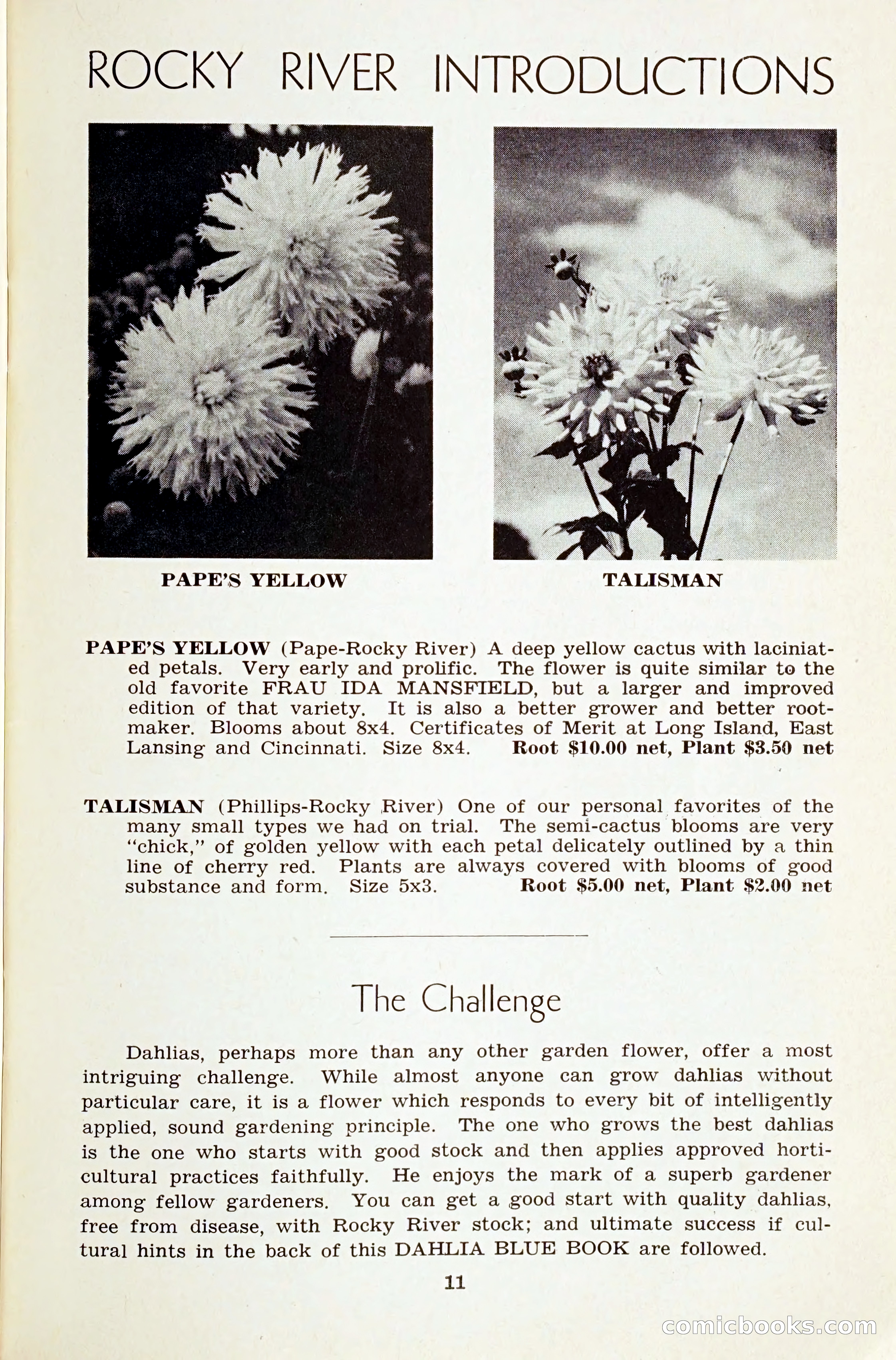 The Dahlia Blue Book for 1959 — page 14 of 69