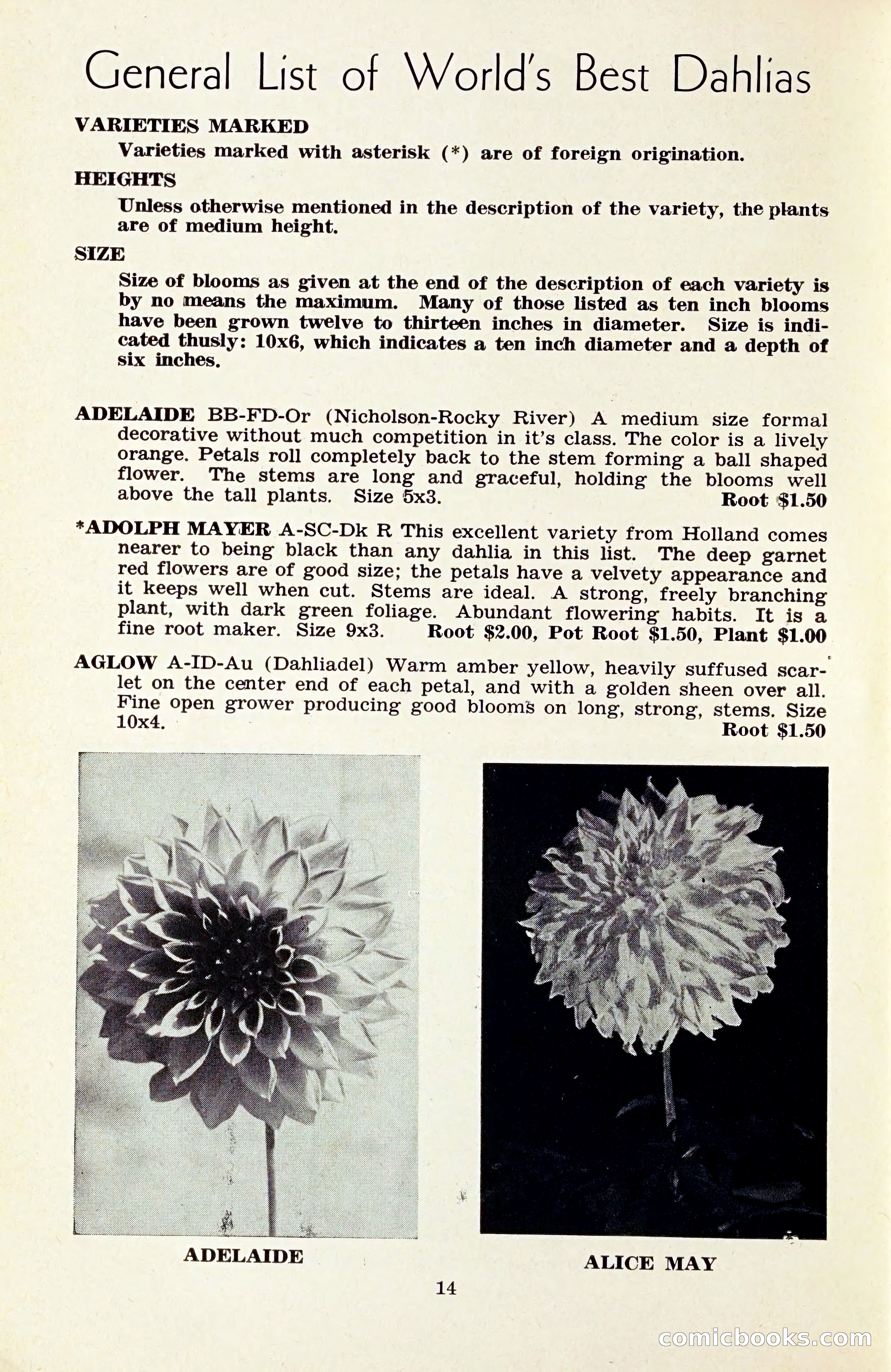 The Dahlia Blue Book for 1959 — page 17 of 69