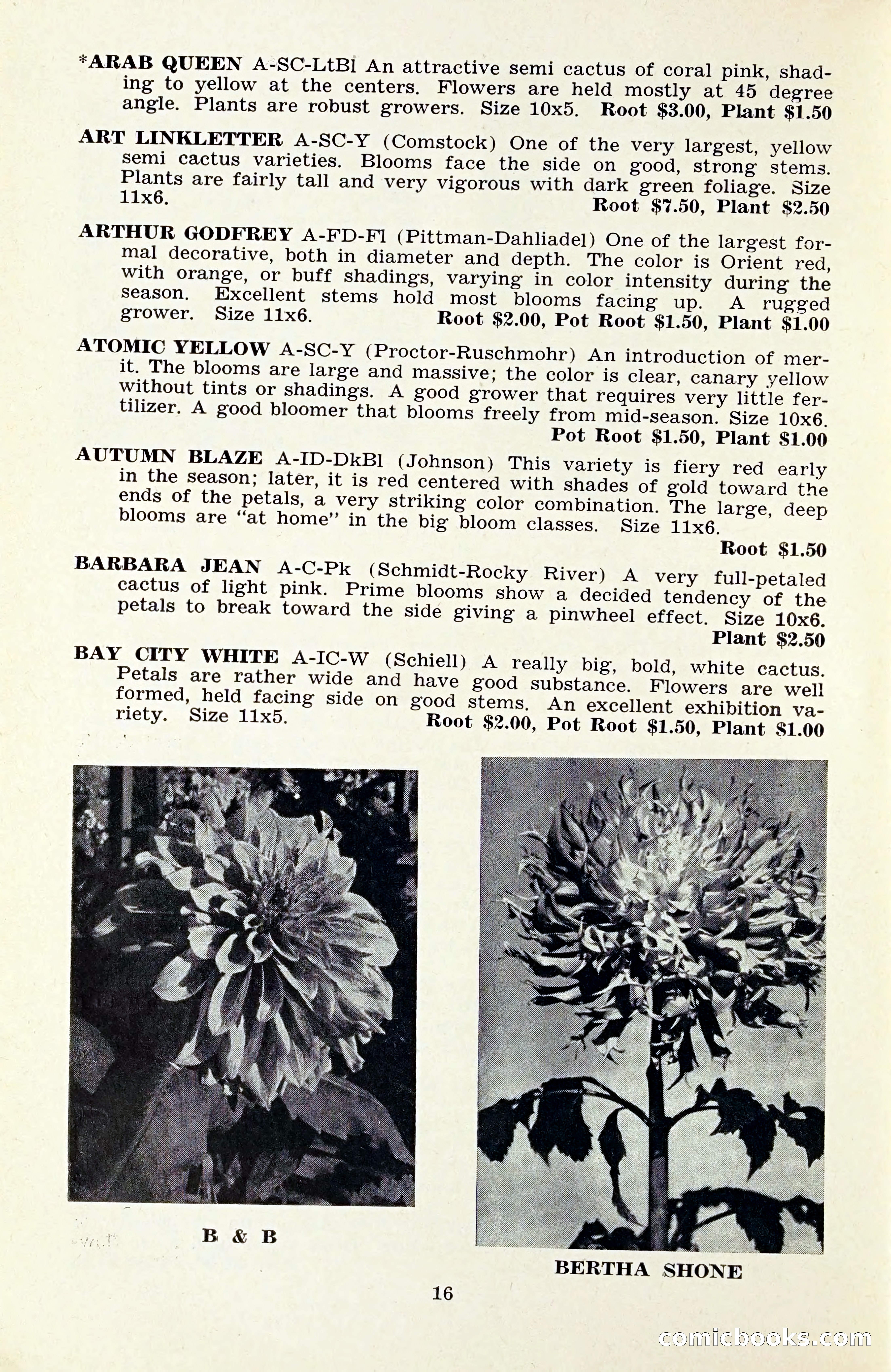 The Dahlia Blue Book for 1959 — page 19 of 69