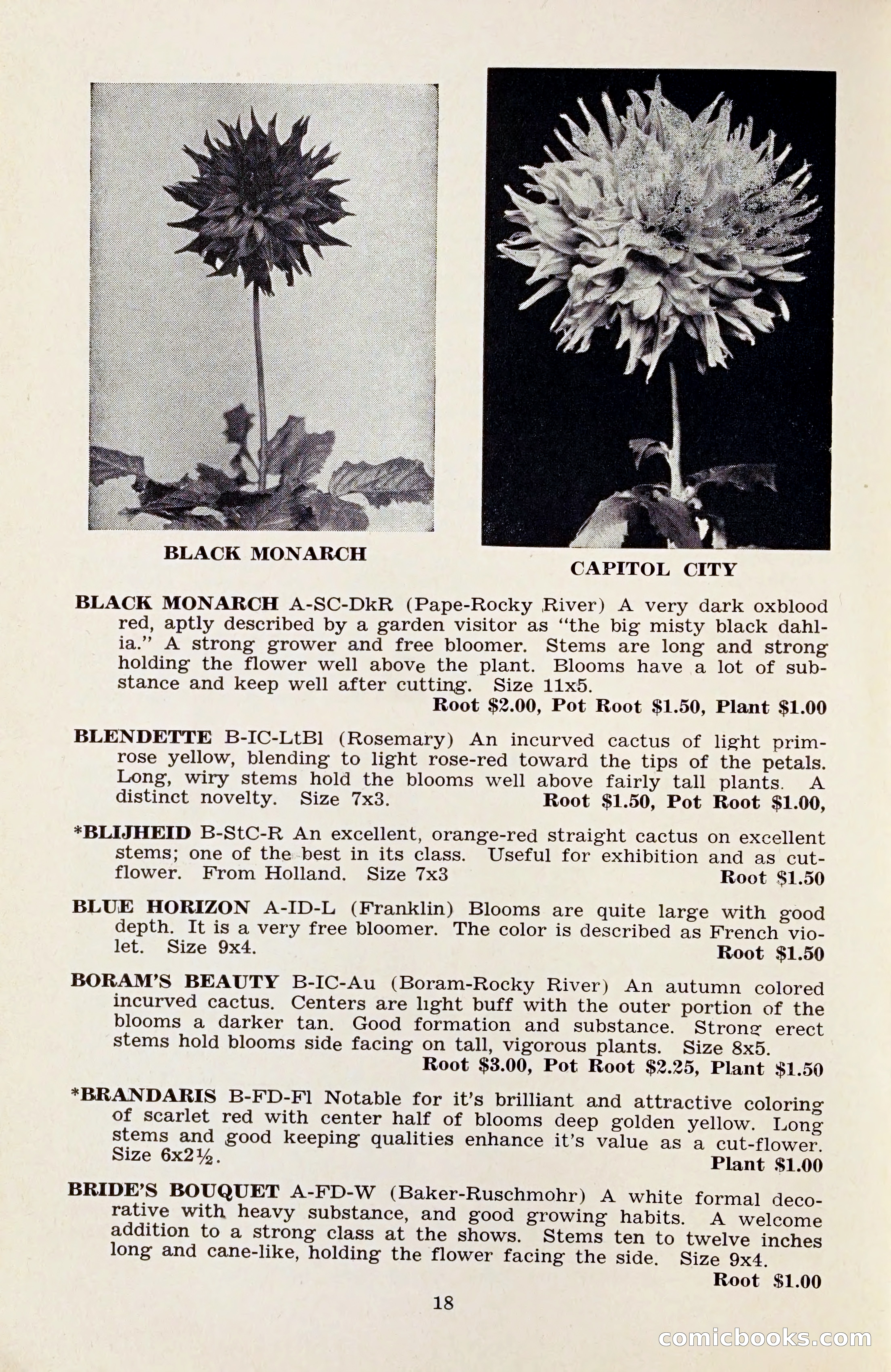 The Dahlia Blue Book for 1959 — page 21 of 69