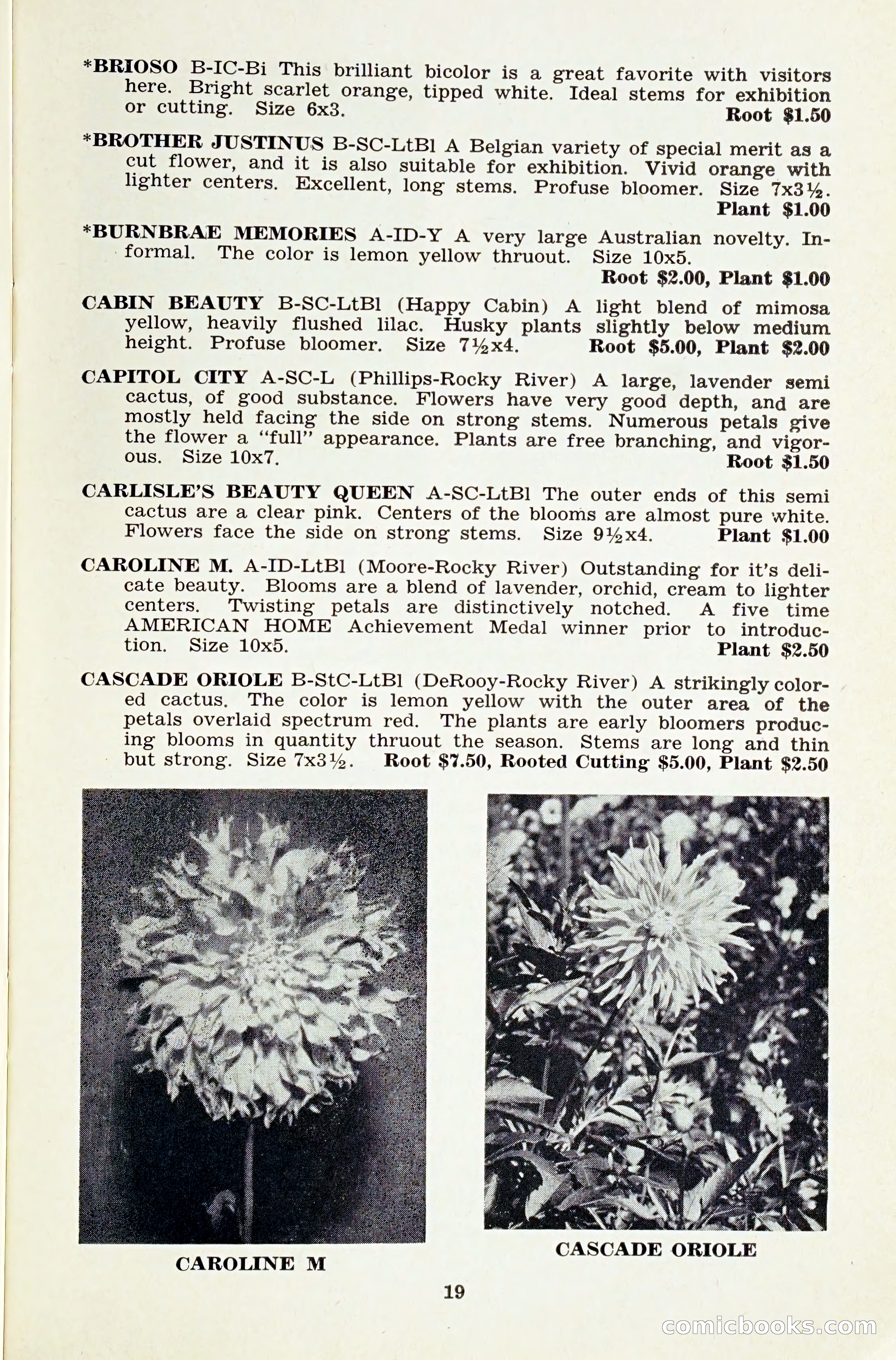 The Dahlia Blue Book for 1959 — page 22 of 69