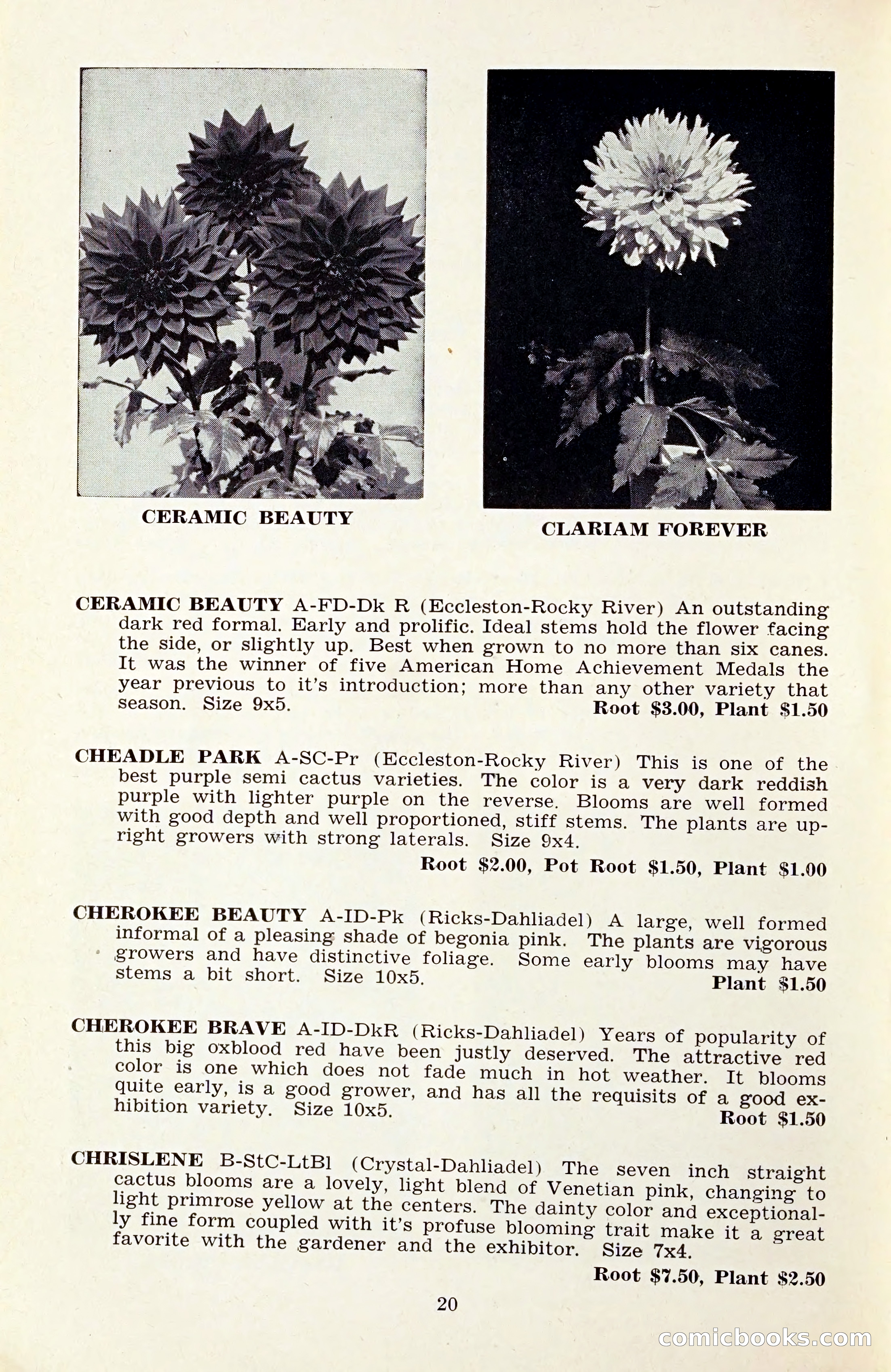 The Dahlia Blue Book for 1959 — page 23 of 69