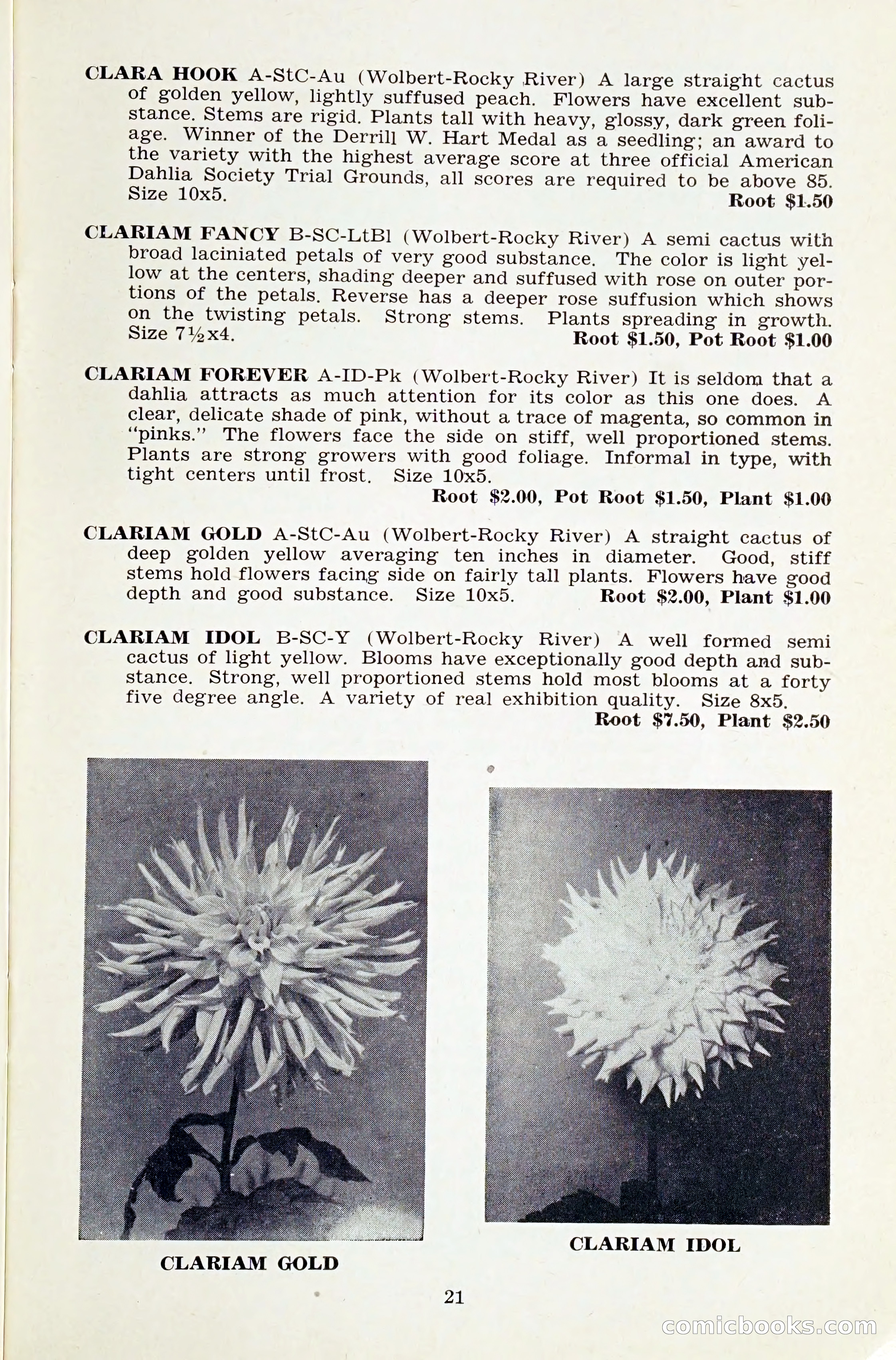 The Dahlia Blue Book for 1959 — page 24 of 69