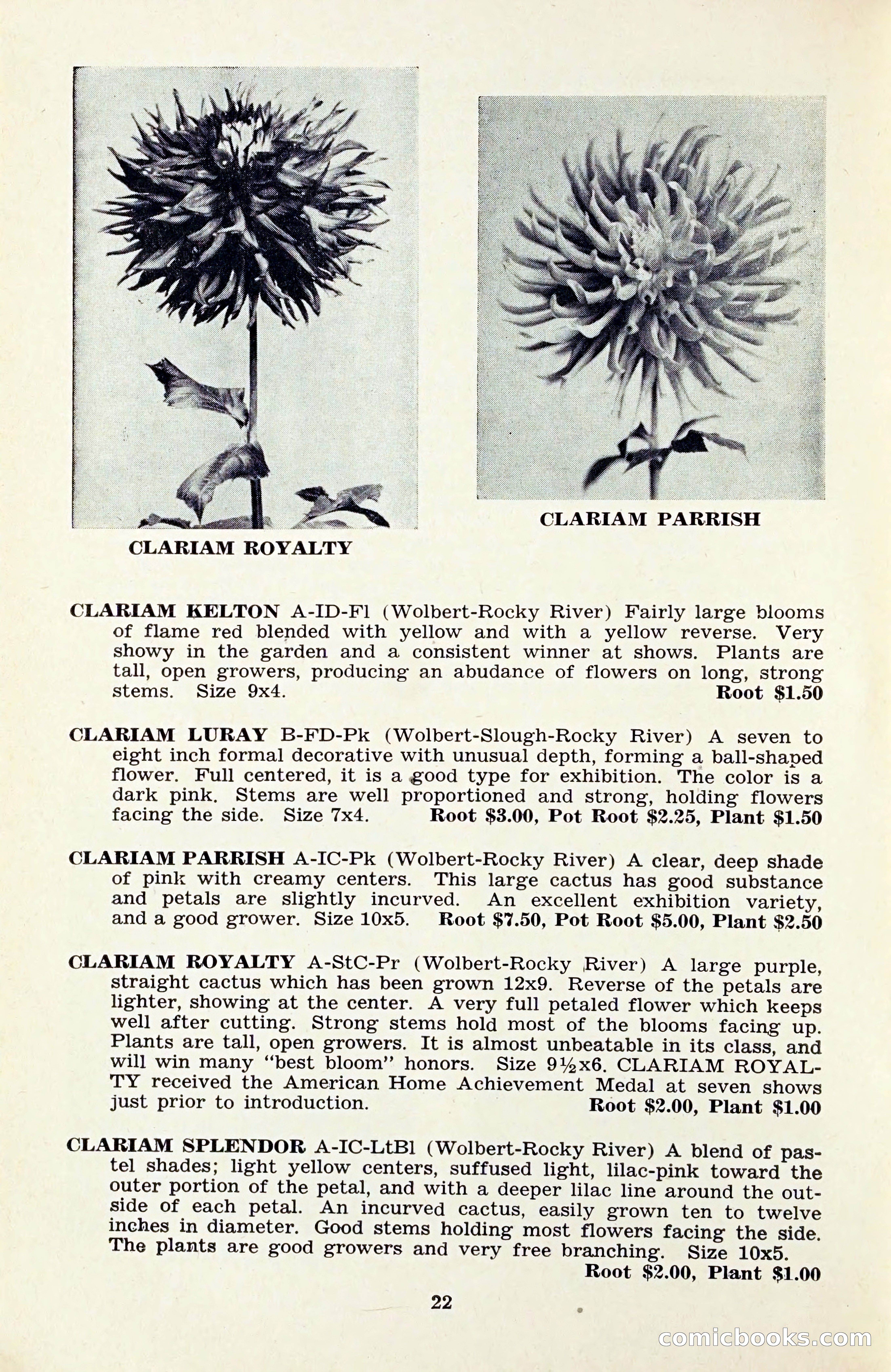 The Dahlia Blue Book for 1959 — page 25 of 69