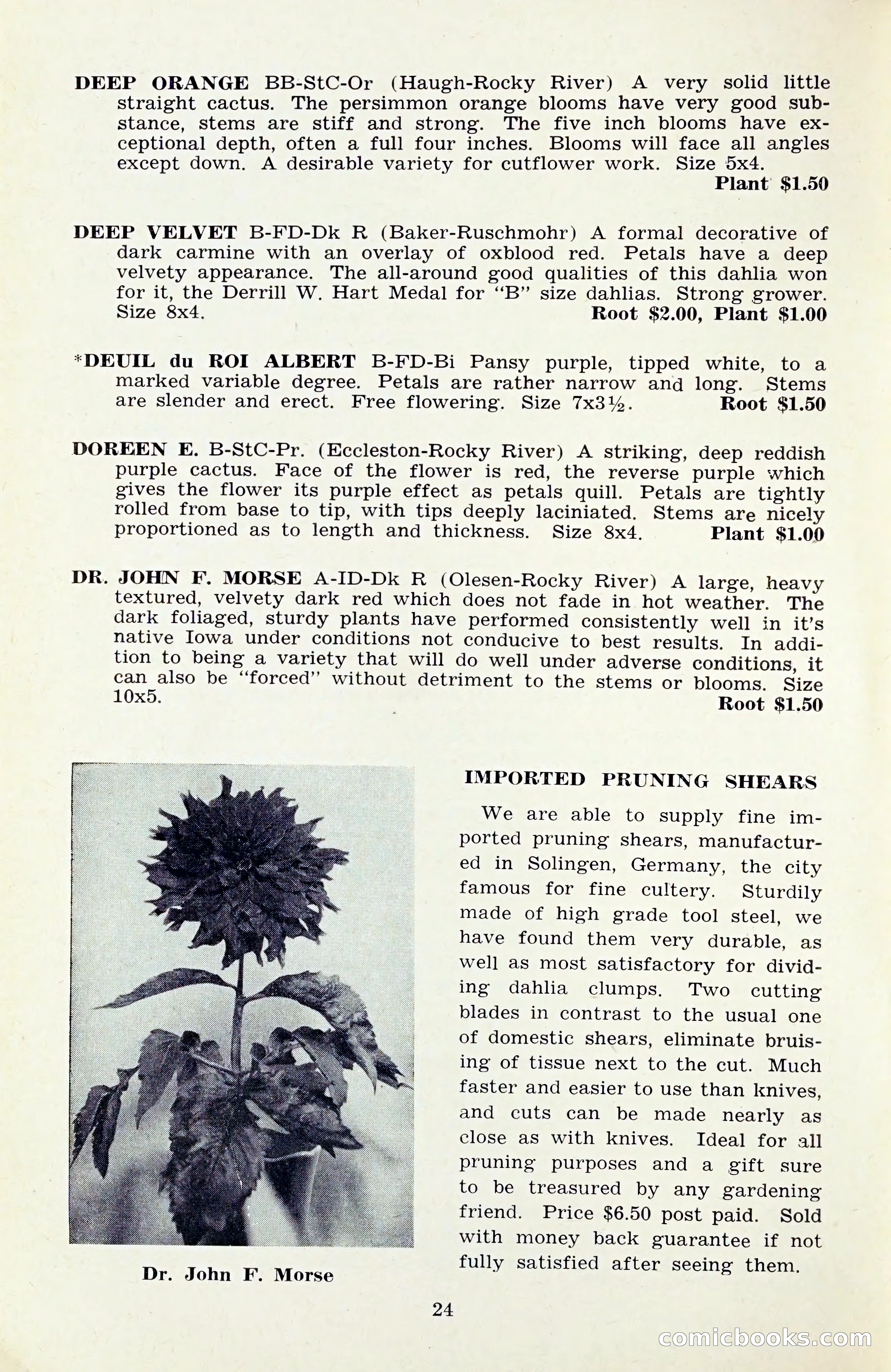 The Dahlia Blue Book for 1959 — page 27 of 69