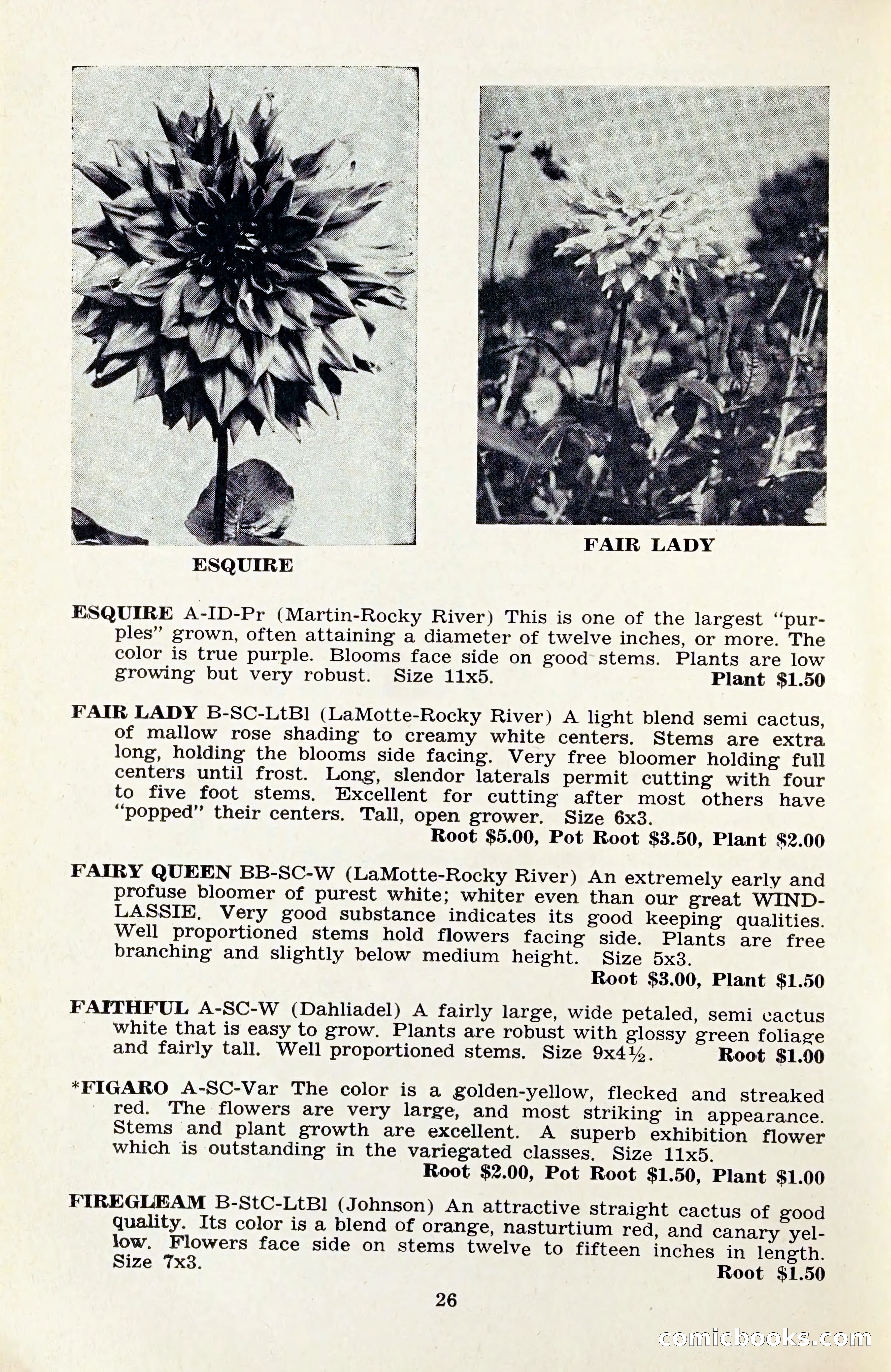 The Dahlia Blue Book for 1959 — page 29 of 69
