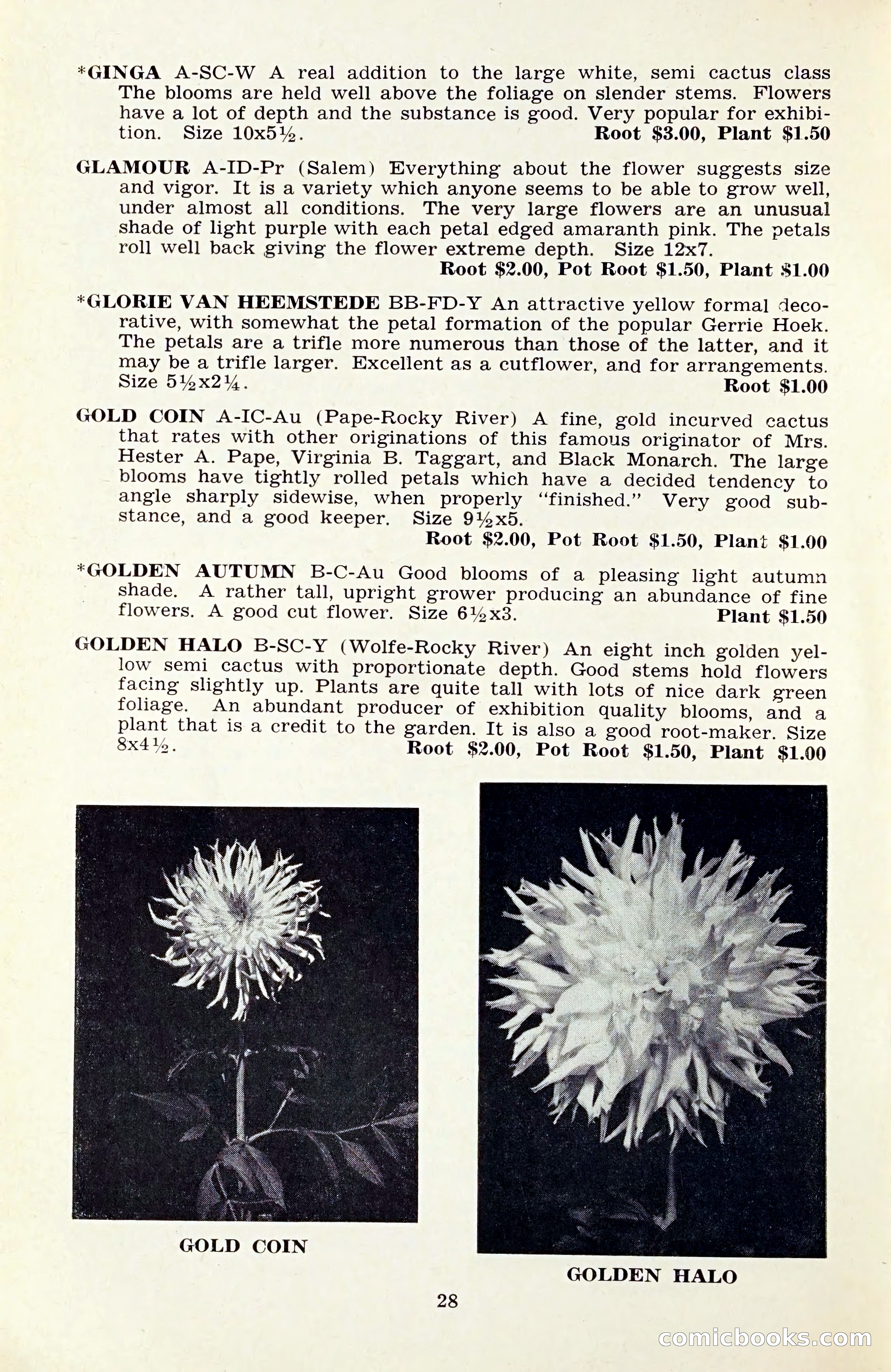 The Dahlia Blue Book for 1959 — page 31 of 69