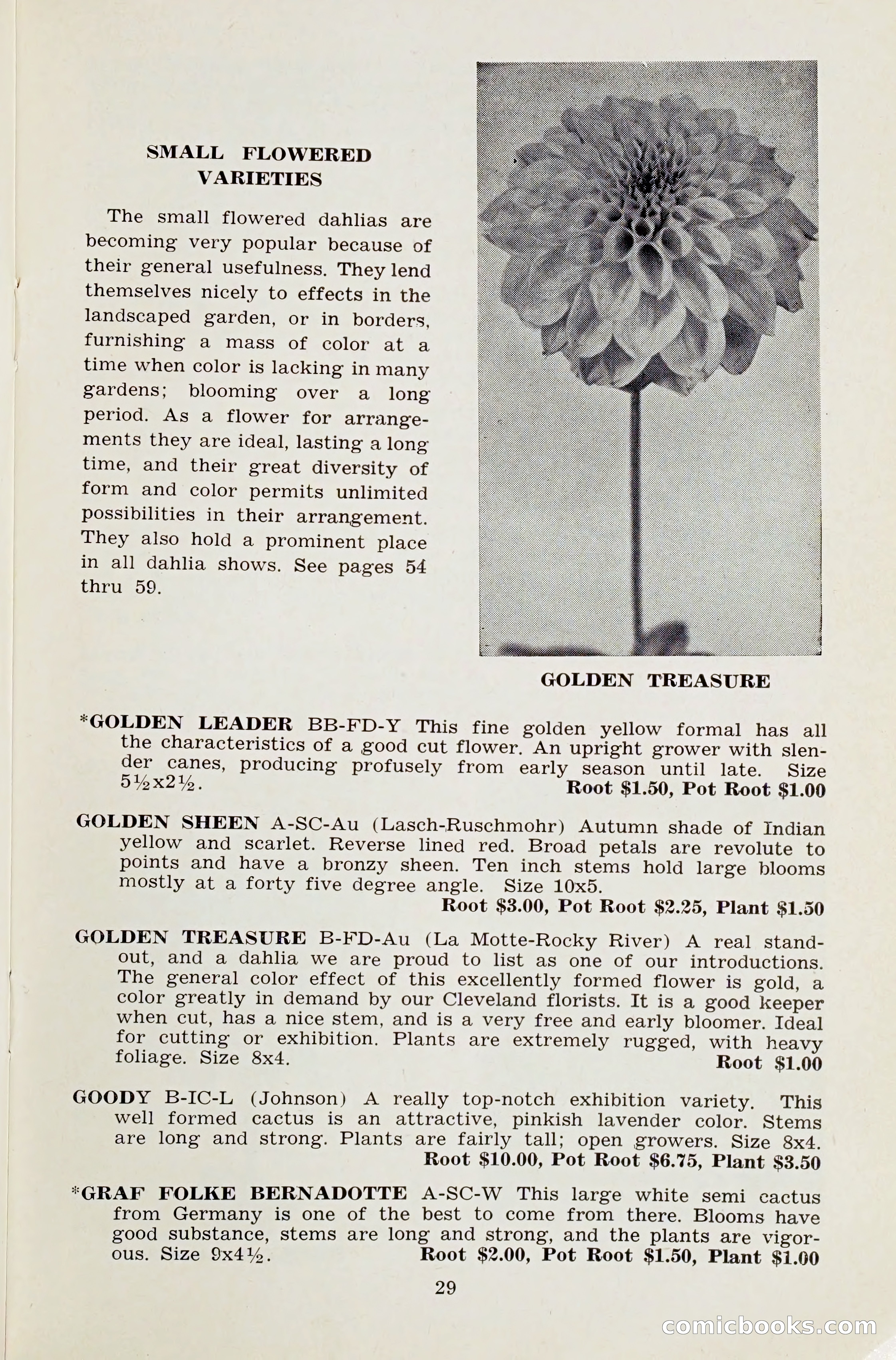 The Dahlia Blue Book for 1959 — page 32 of 69