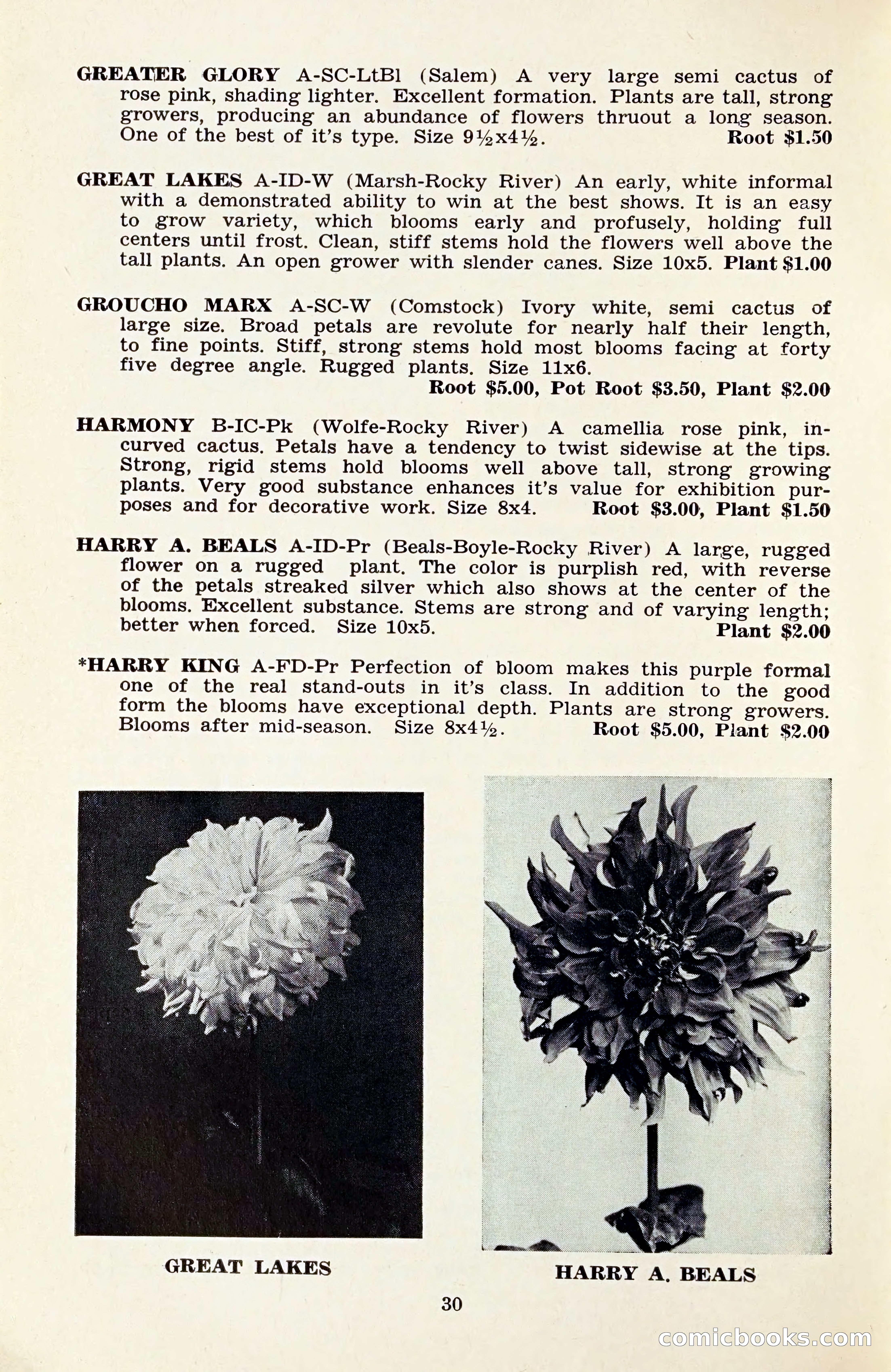 The Dahlia Blue Book for 1959 — page 33 of 69