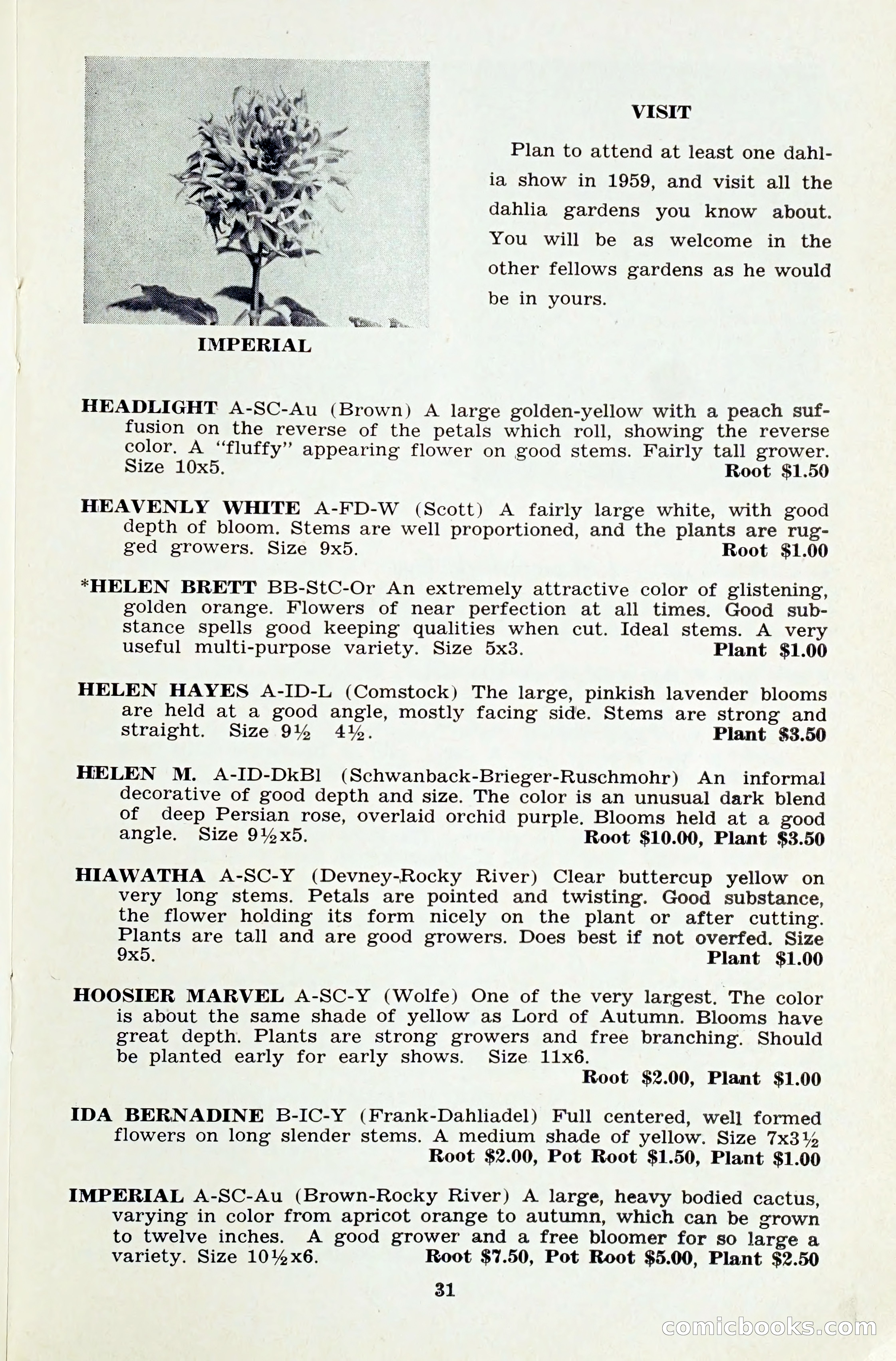 The Dahlia Blue Book for 1959 — page 34 of 69