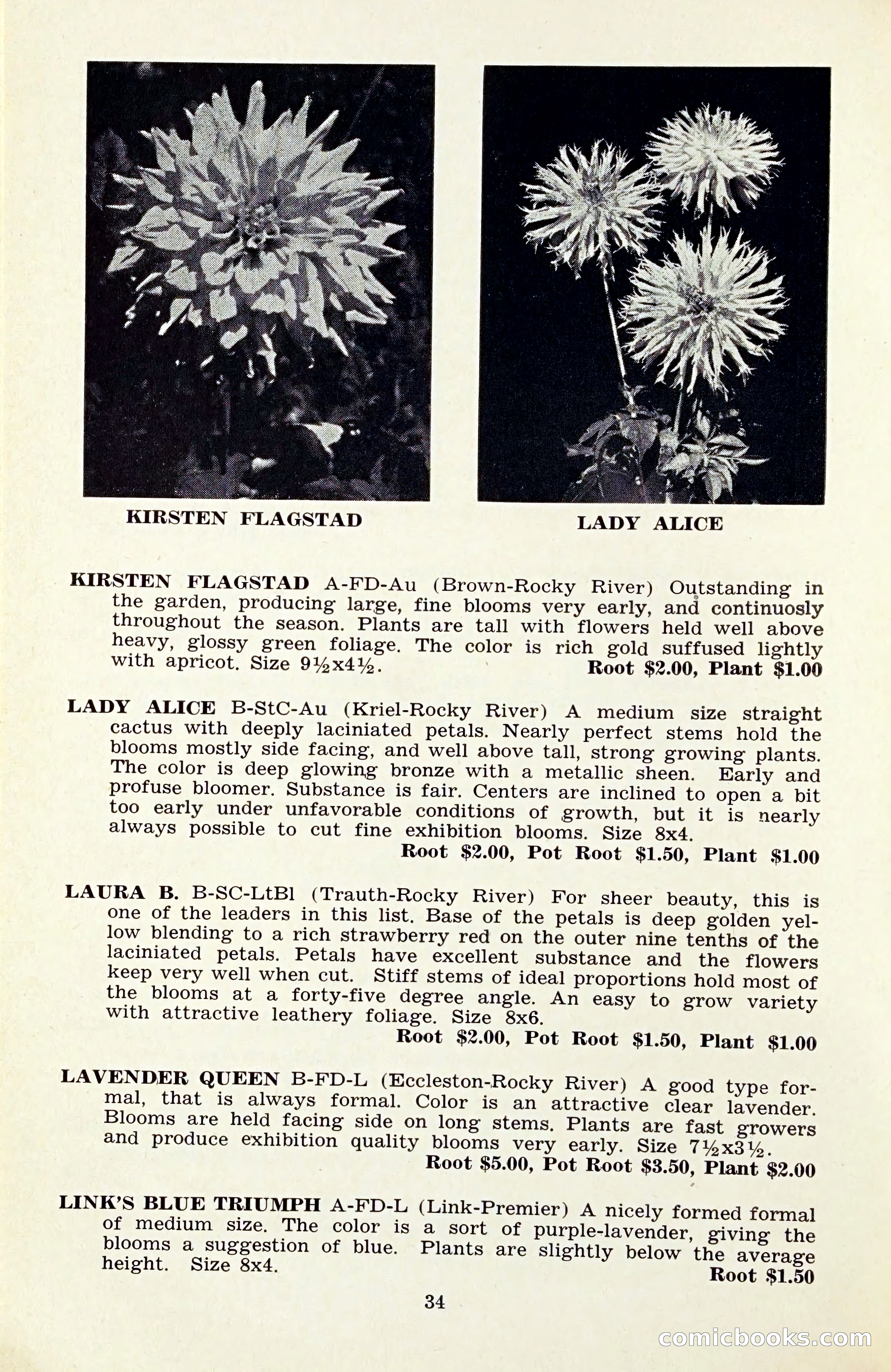 The Dahlia Blue Book for 1959 — page 37 of 69