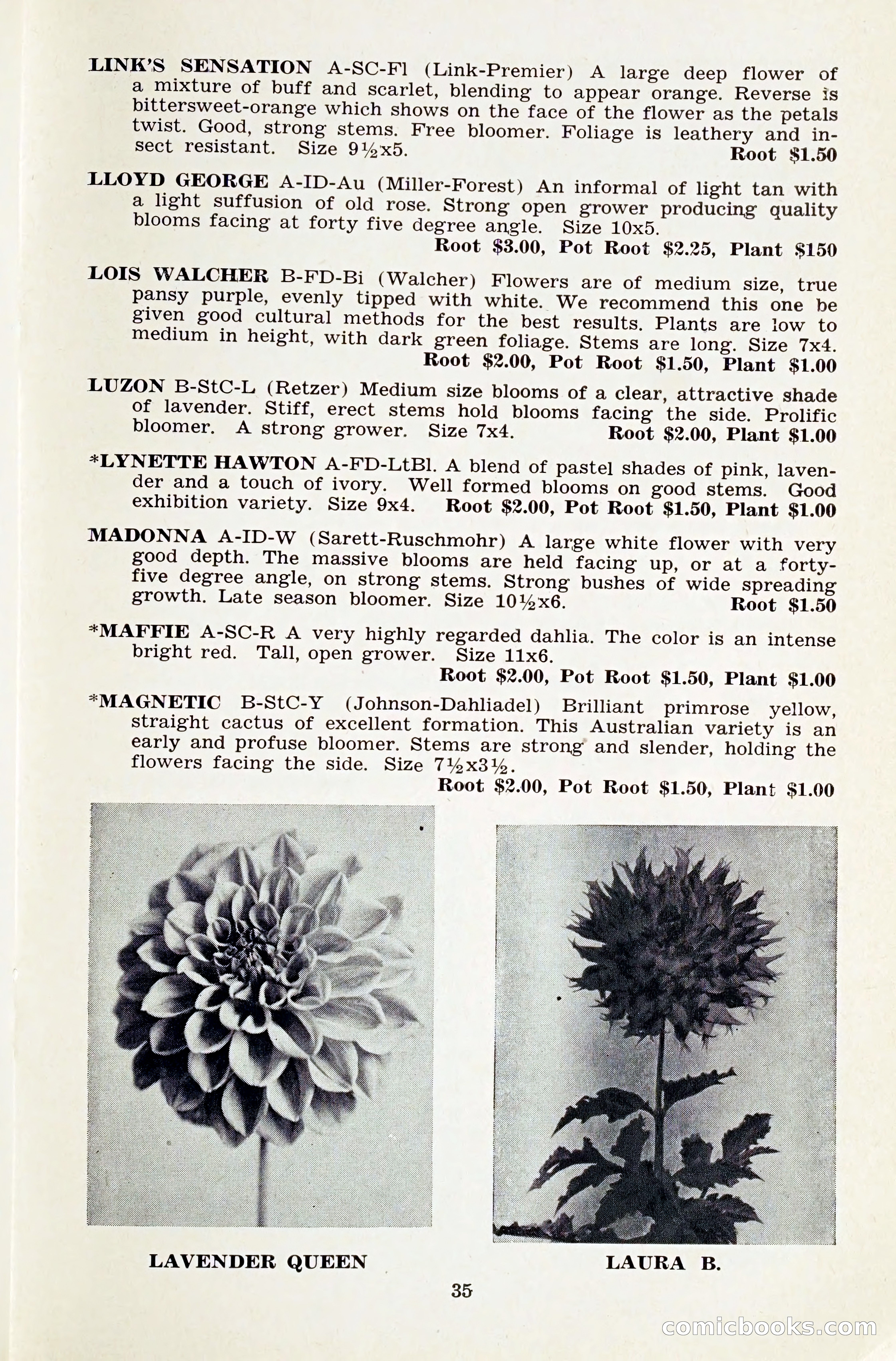 The Dahlia Blue Book for 1959 — page 38 of 69