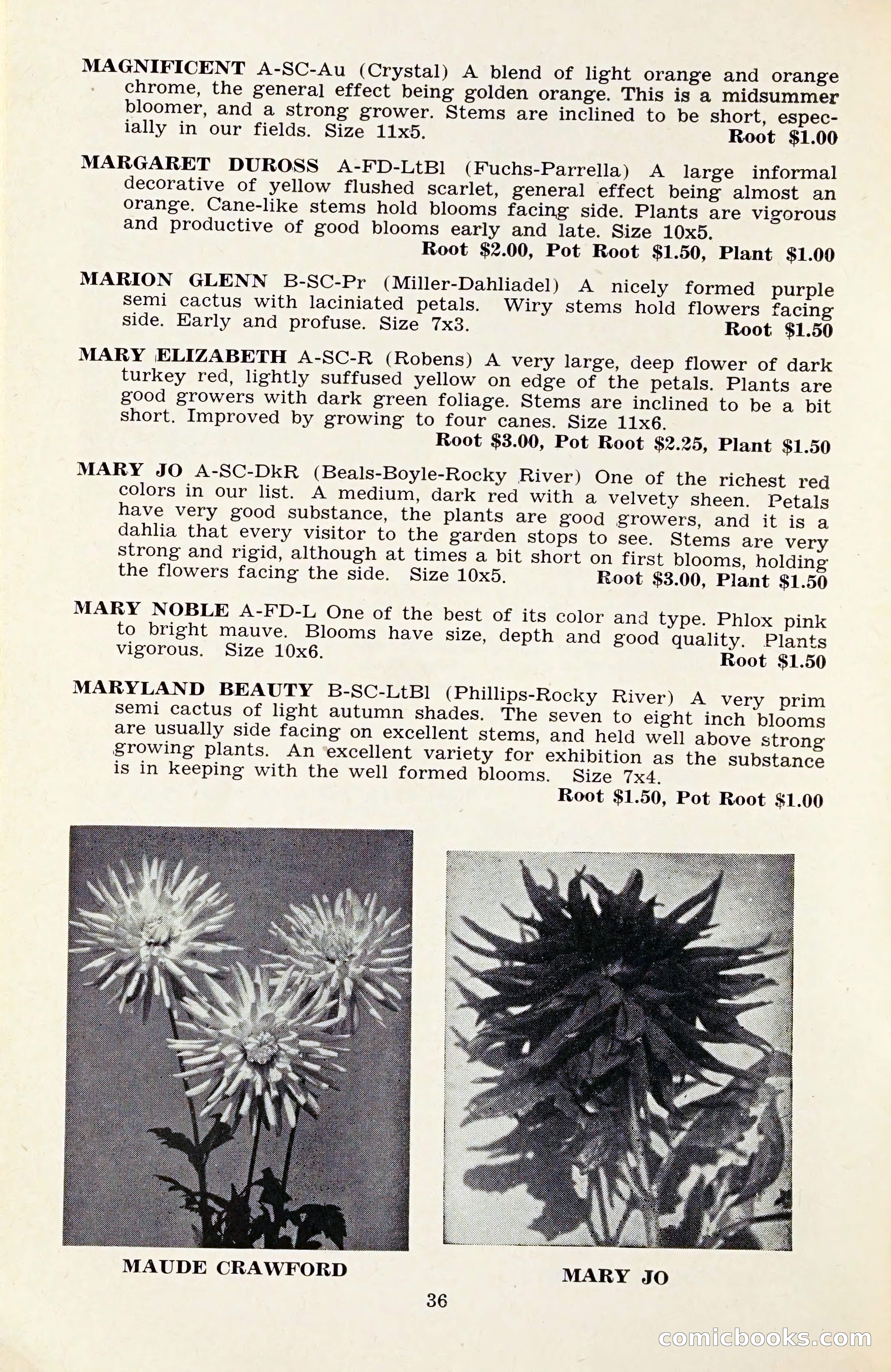 The Dahlia Blue Book for 1959 — page 39 of 69