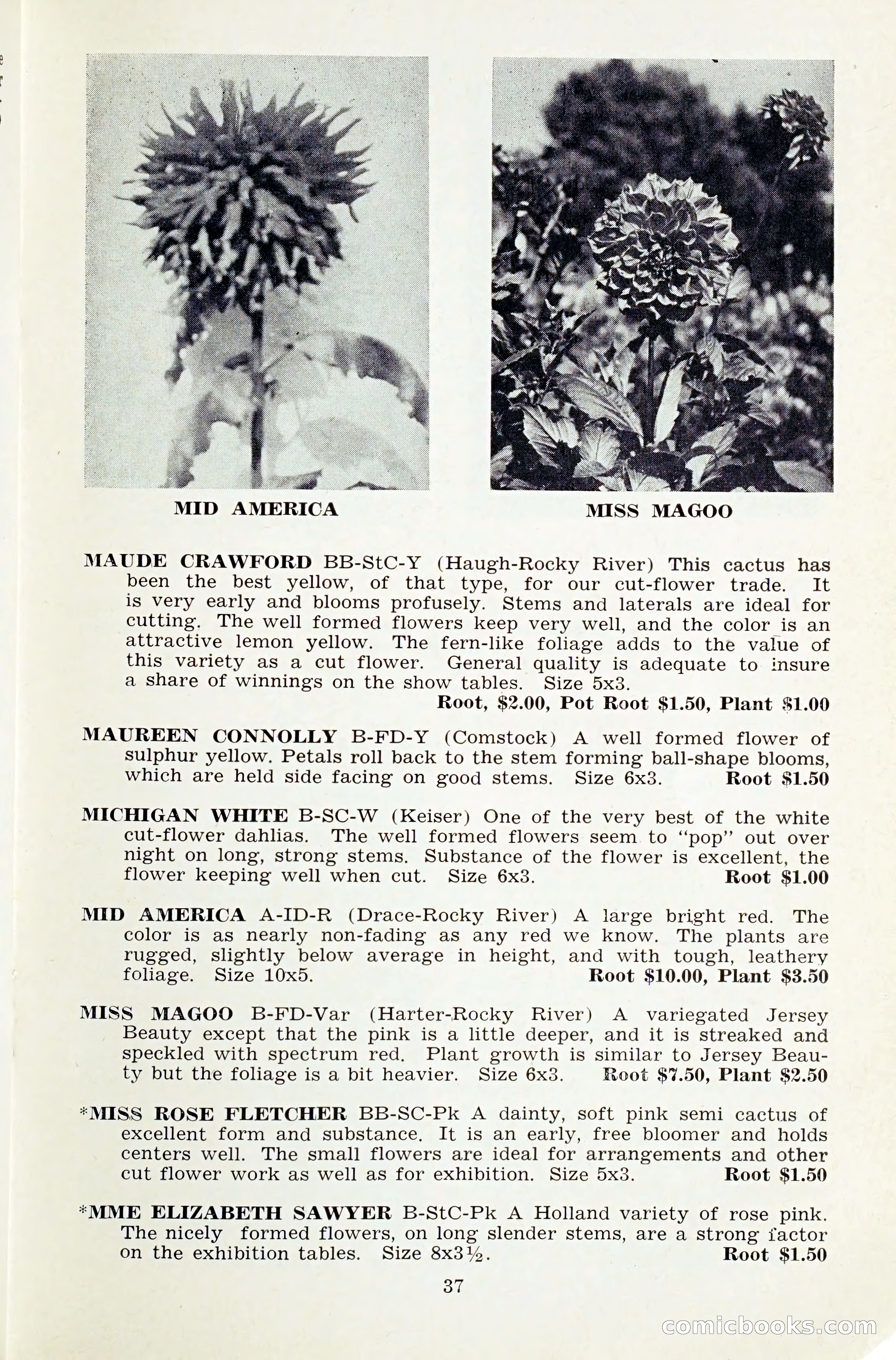 The Dahlia Blue Book for 1959 — page 40 of 69