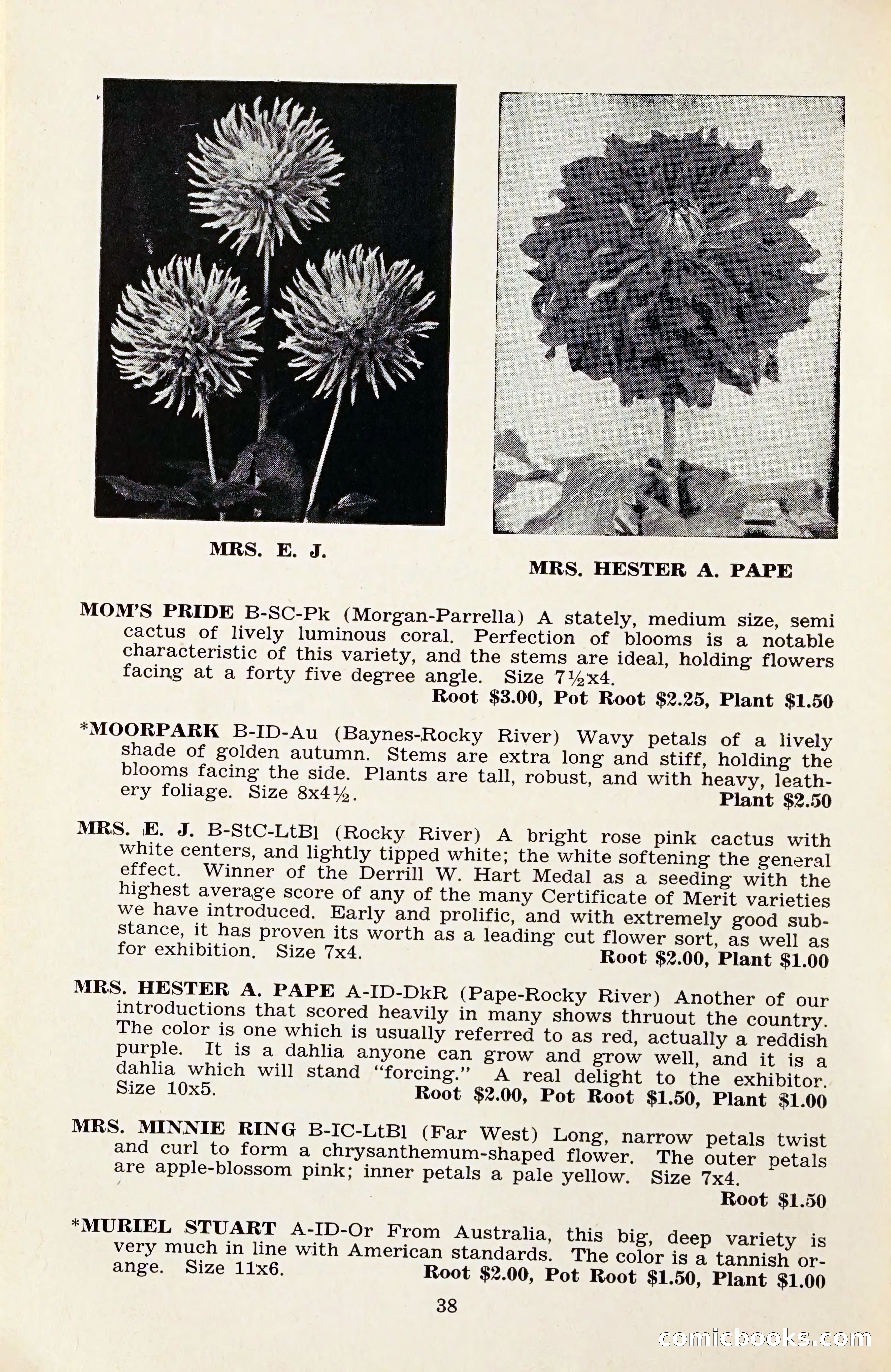 The Dahlia Blue Book for 1959 — page 41 of 69