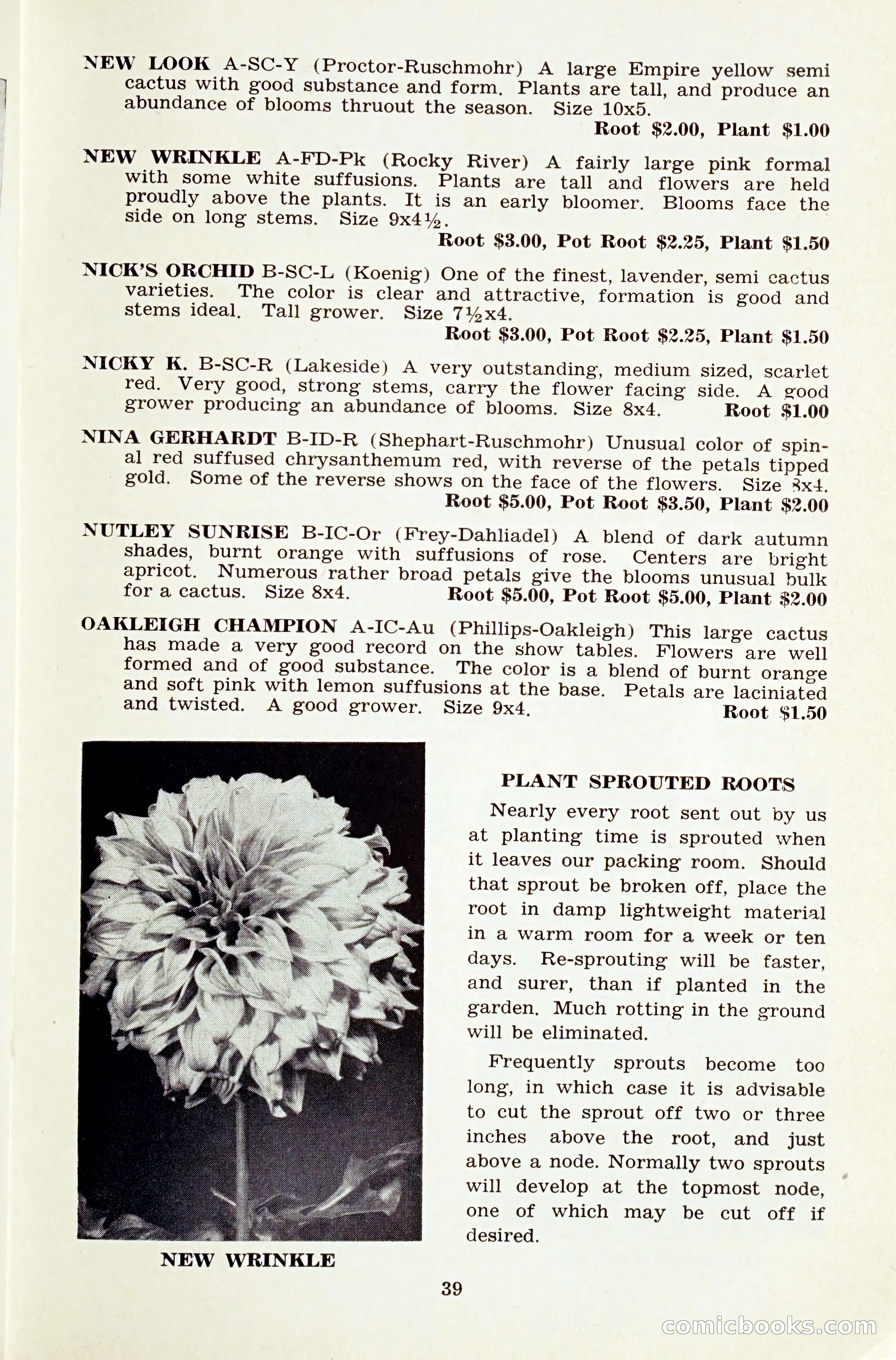 The Dahlia Blue Book for 1959 — page 42 of 69