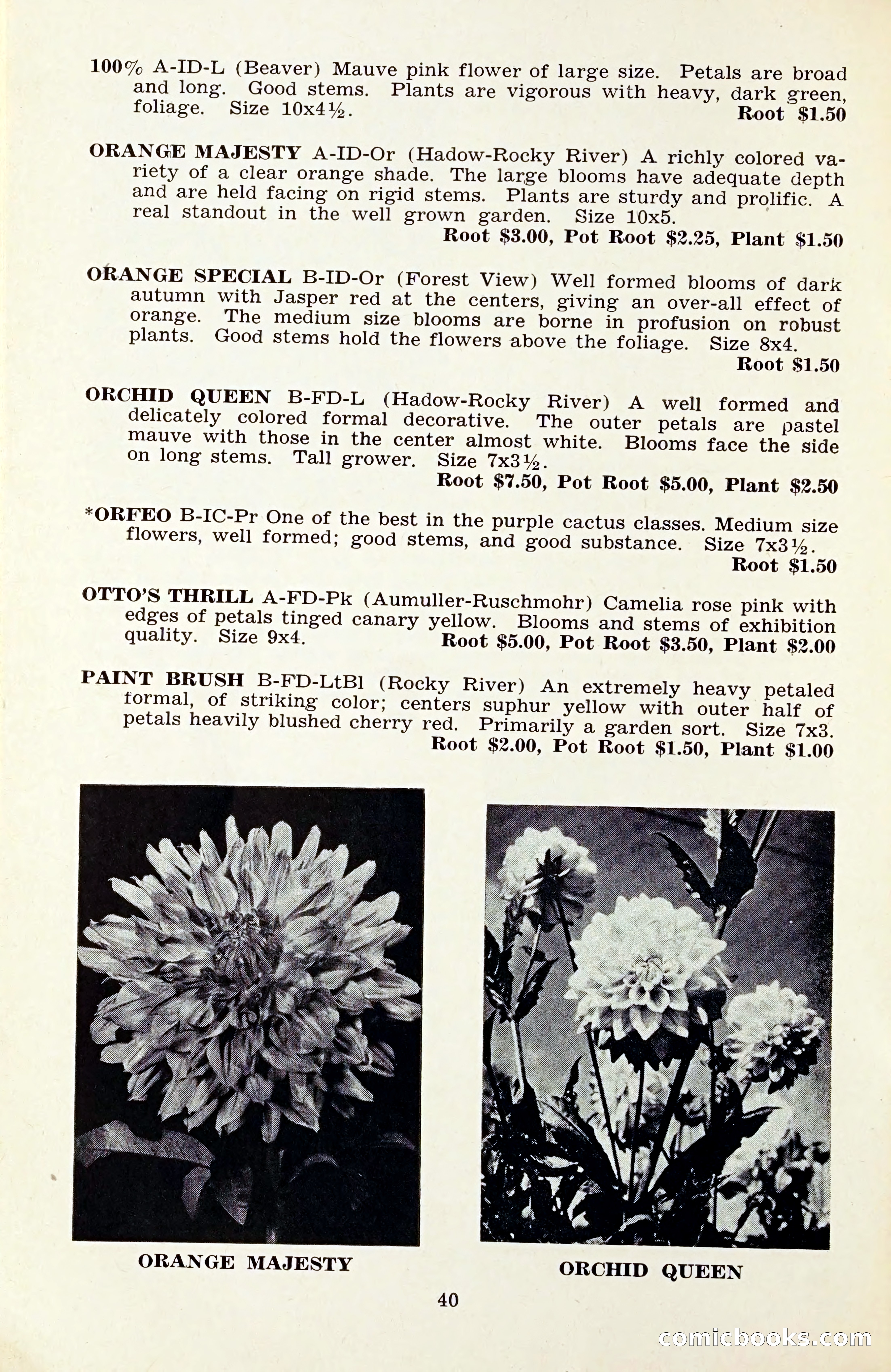 The Dahlia Blue Book for 1959 — page 43 of 69