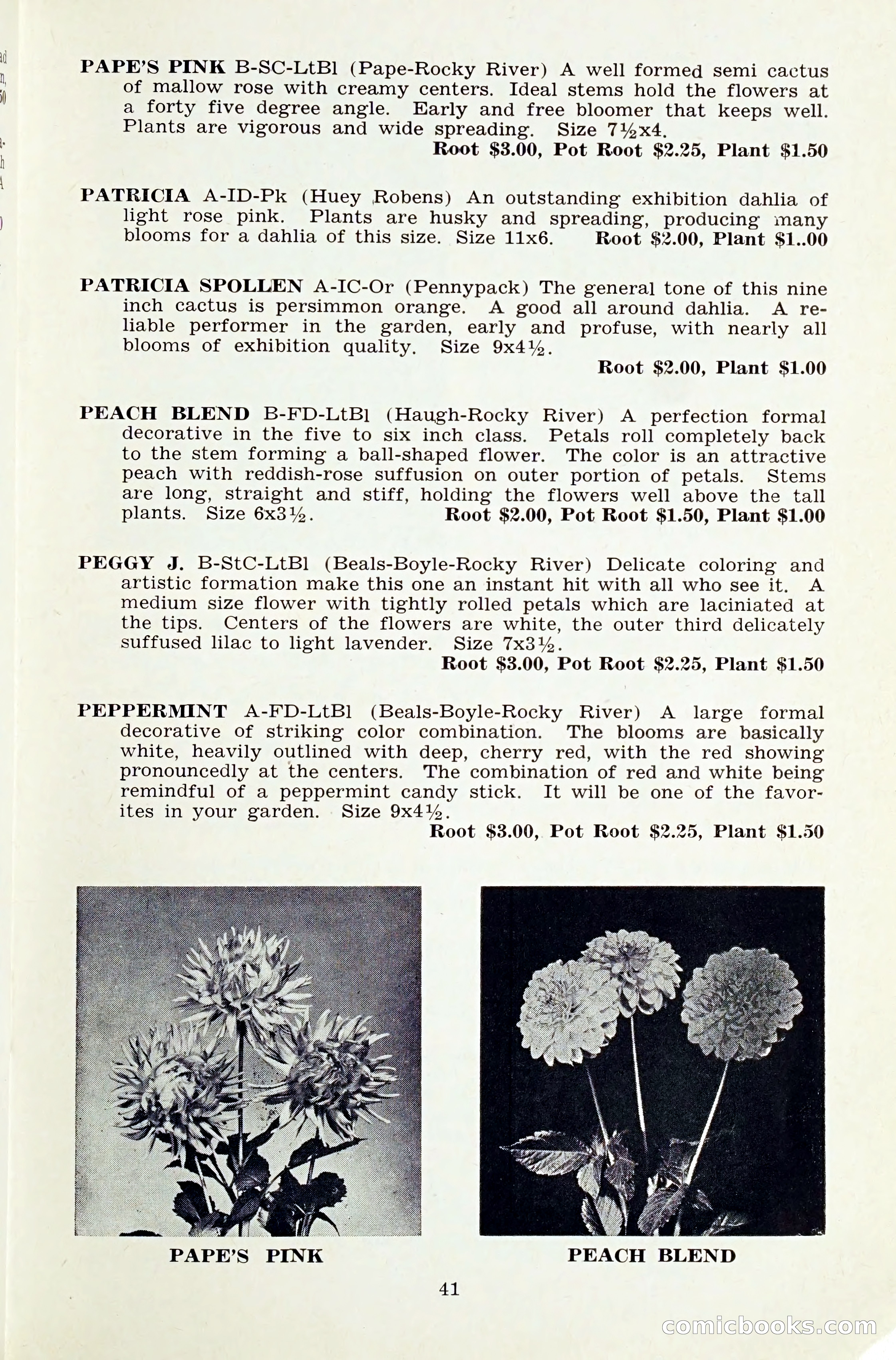 The Dahlia Blue Book for 1959 — page 44 of 69