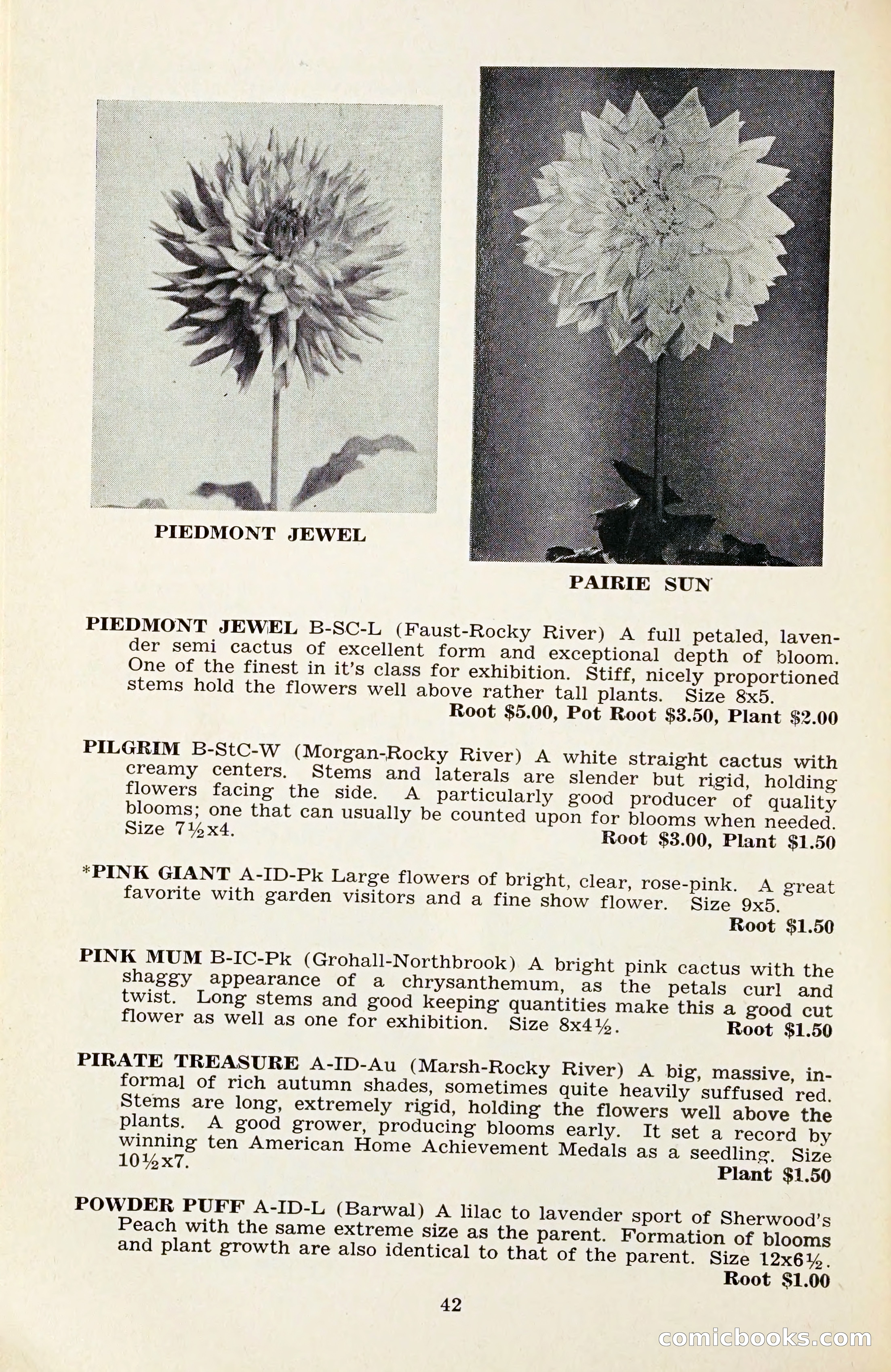 The Dahlia Blue Book for 1959 — page 45 of 69