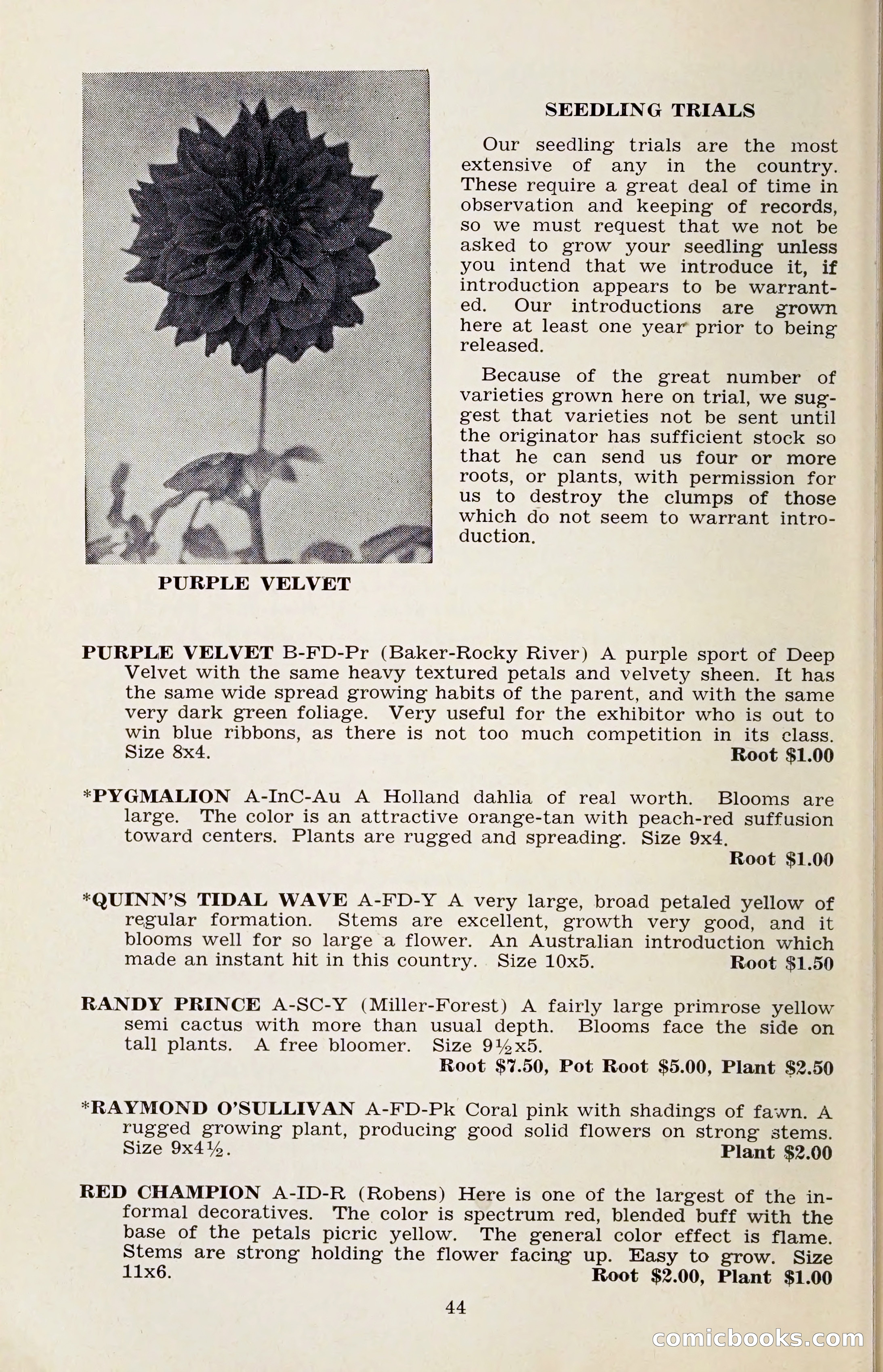 The Dahlia Blue Book for 1959 — page 47 of 69