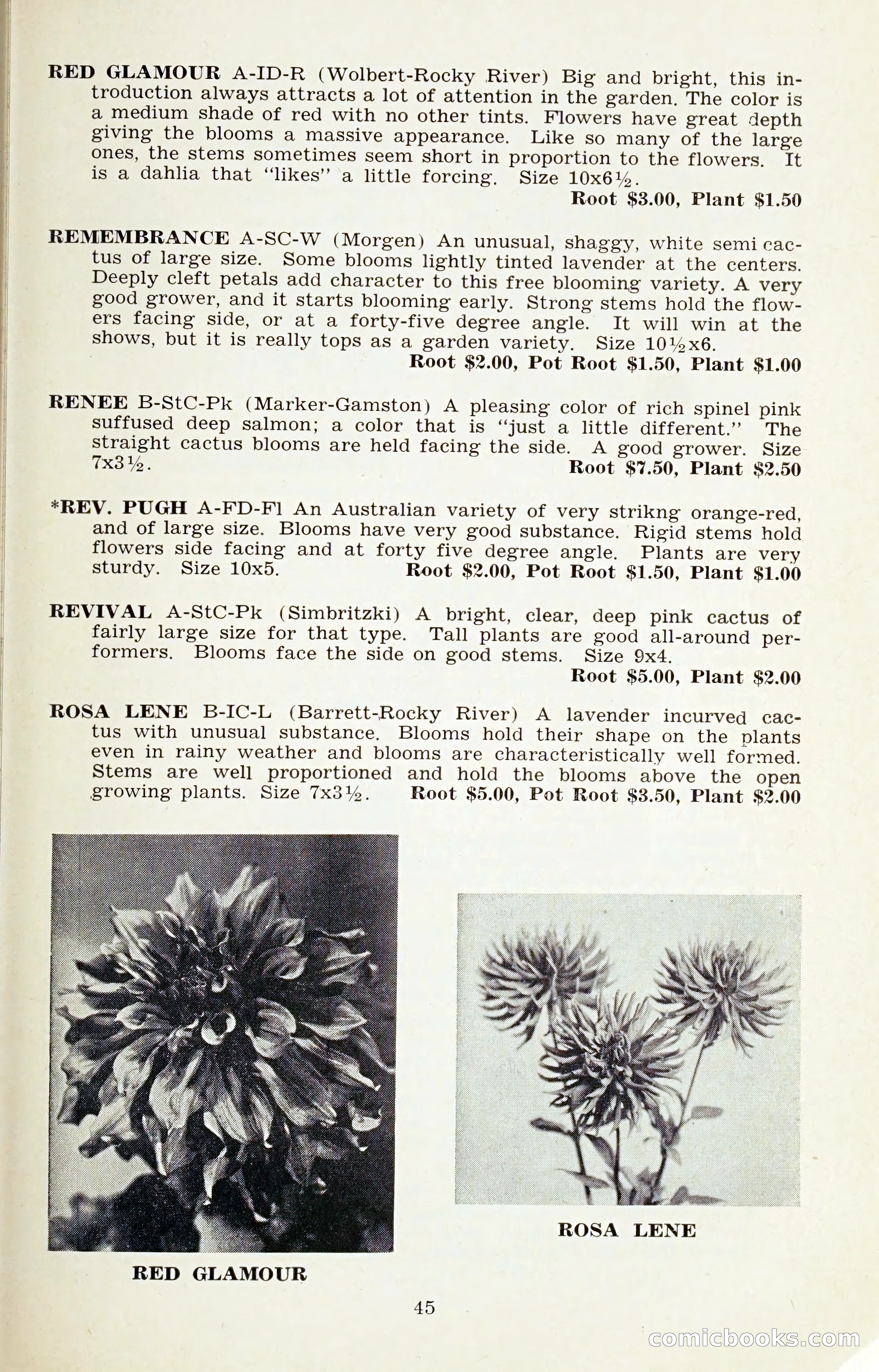 The Dahlia Blue Book for 1959 — page 48 of 69