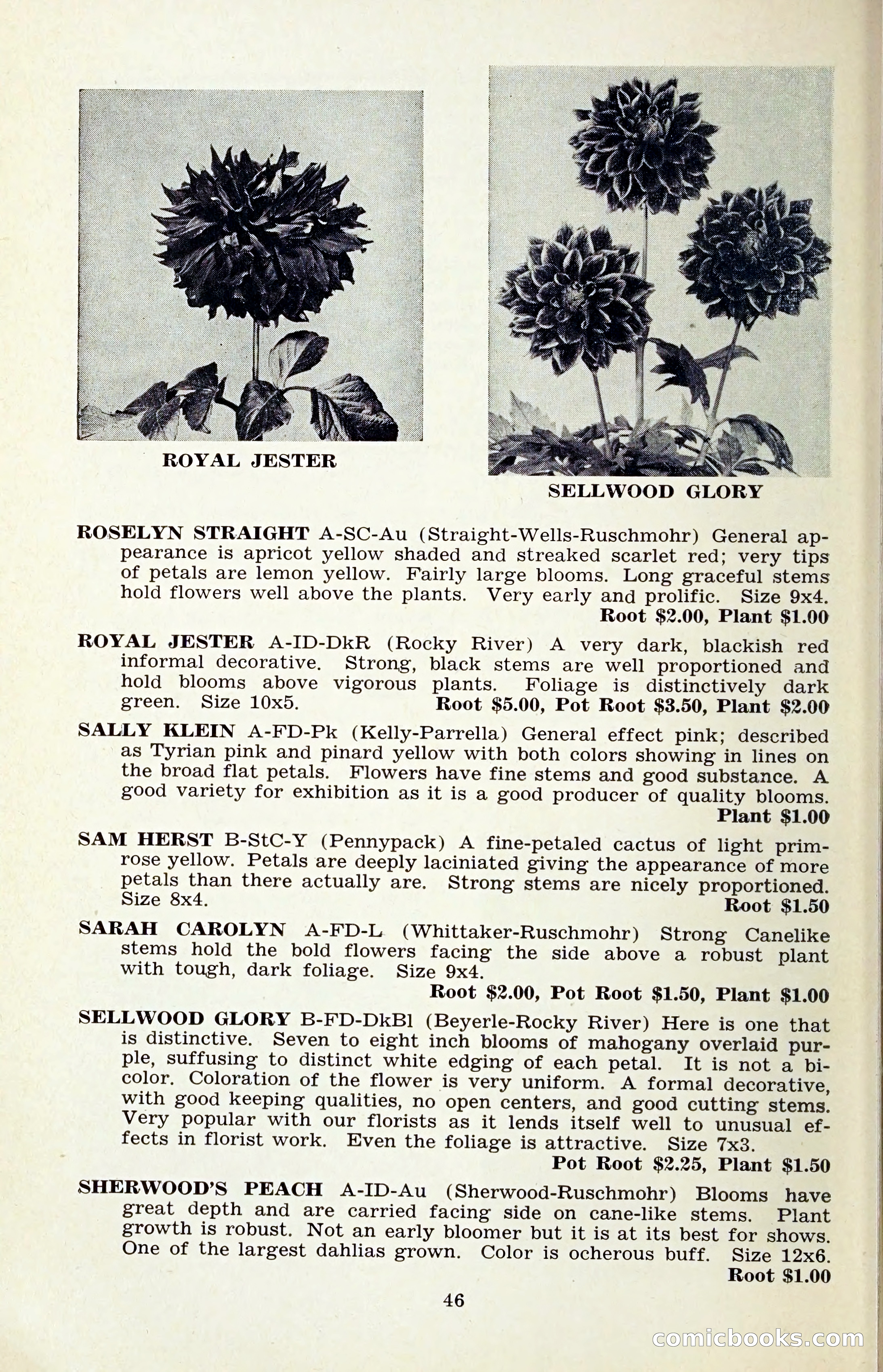 The Dahlia Blue Book for 1959 — page 49 of 69