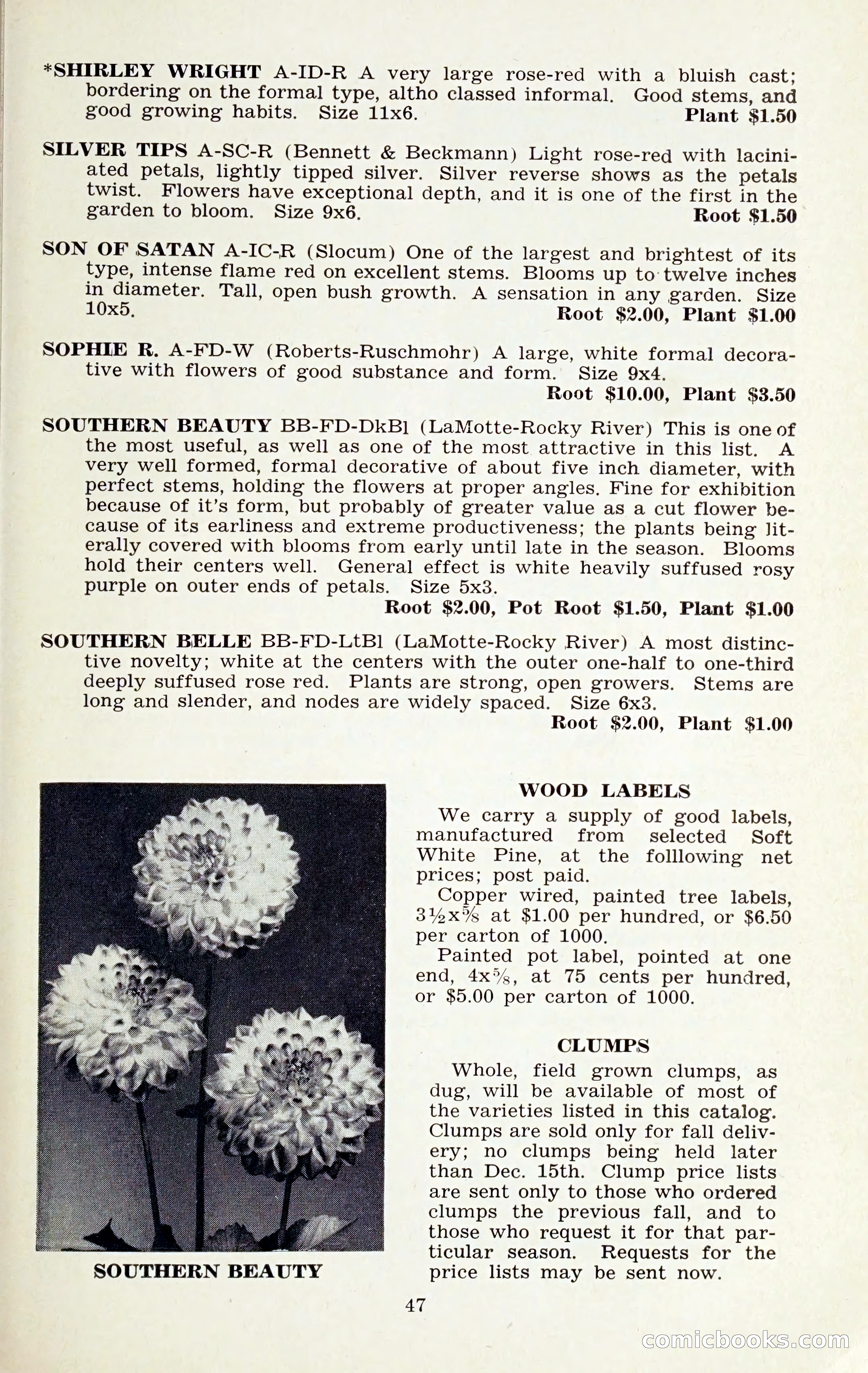 The Dahlia Blue Book for 1959 — page 50 of 69