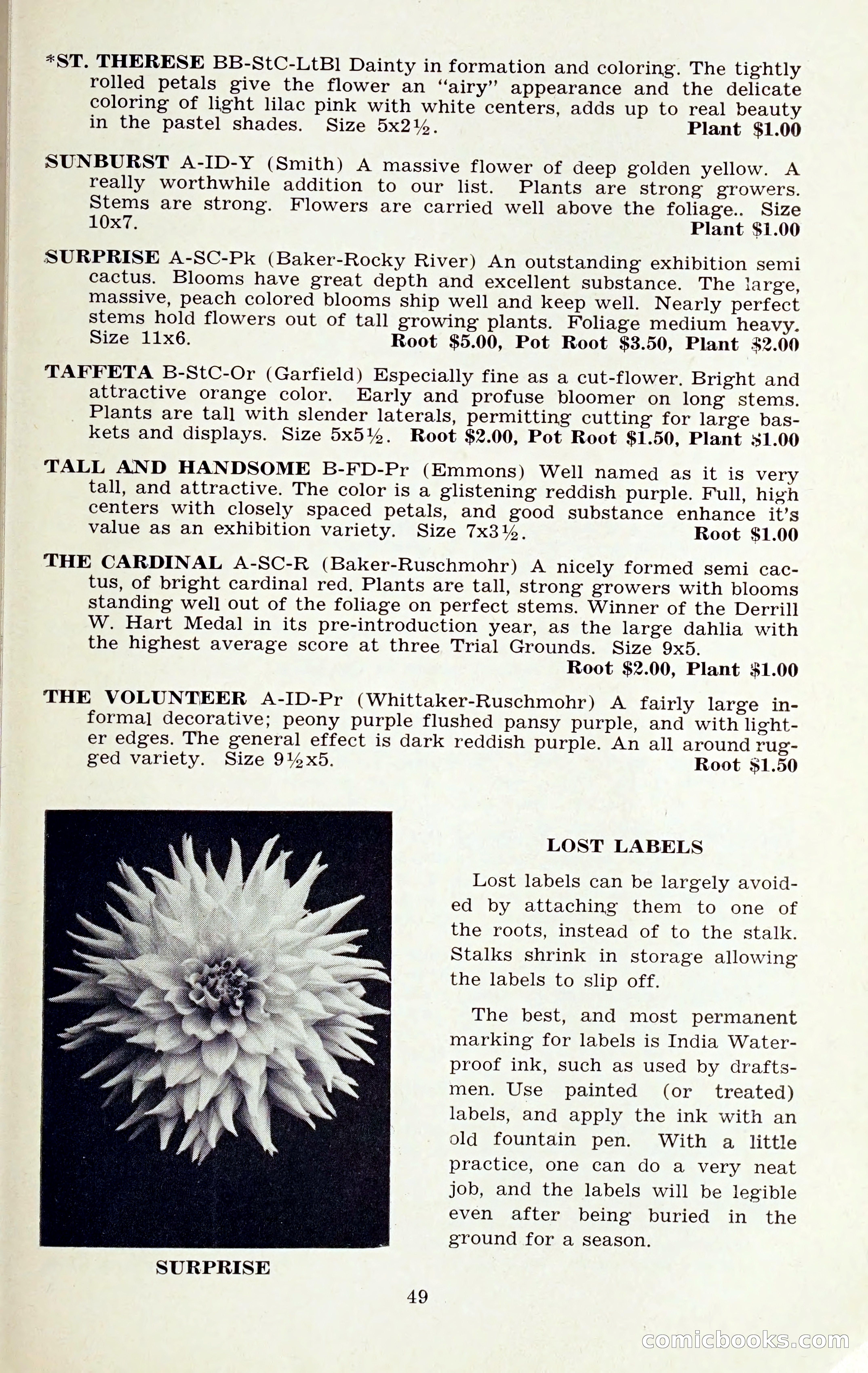 The Dahlia Blue Book for 1959 — page 52 of 69