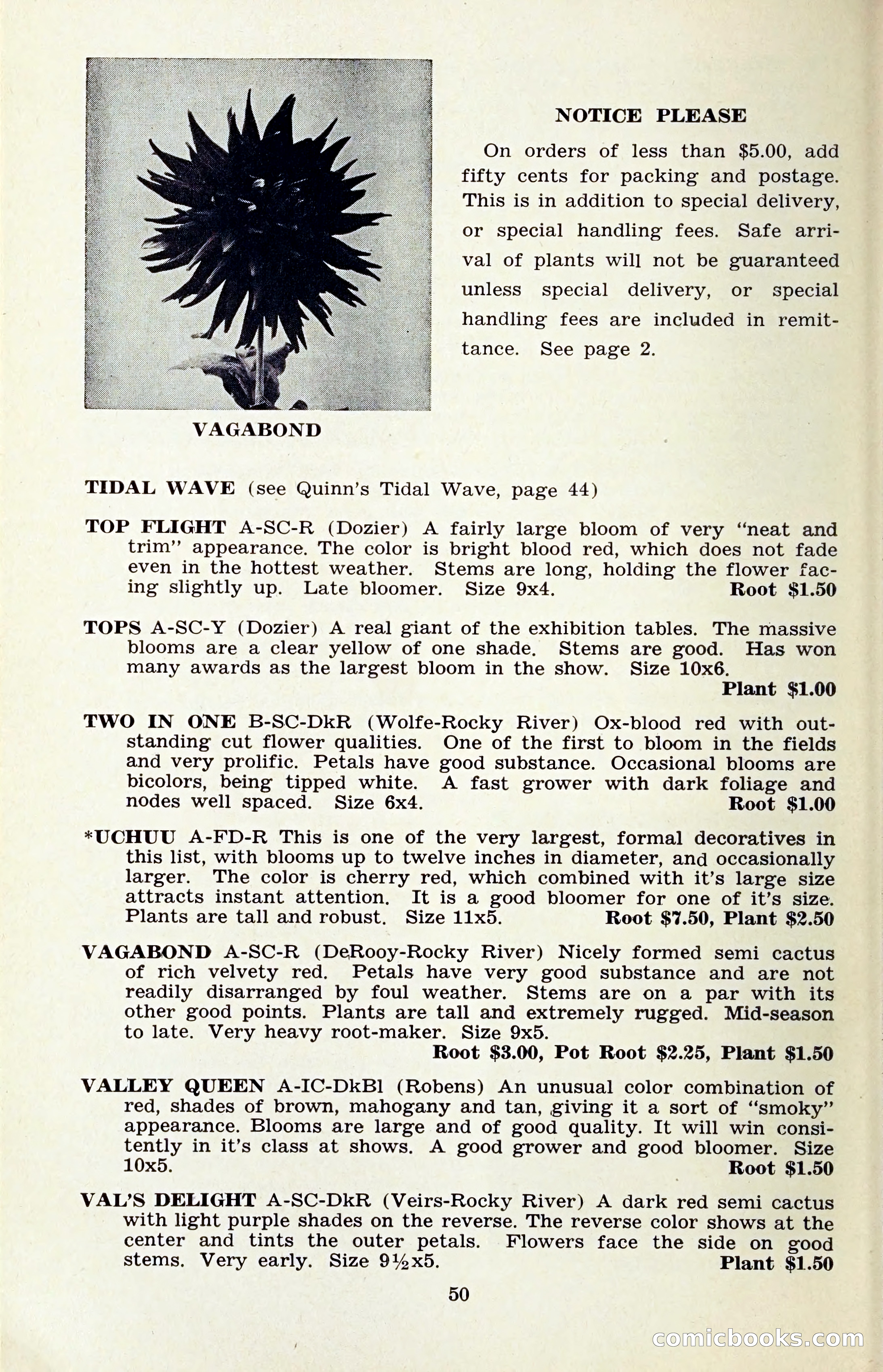 The Dahlia Blue Book for 1959 — page 53 of 69
